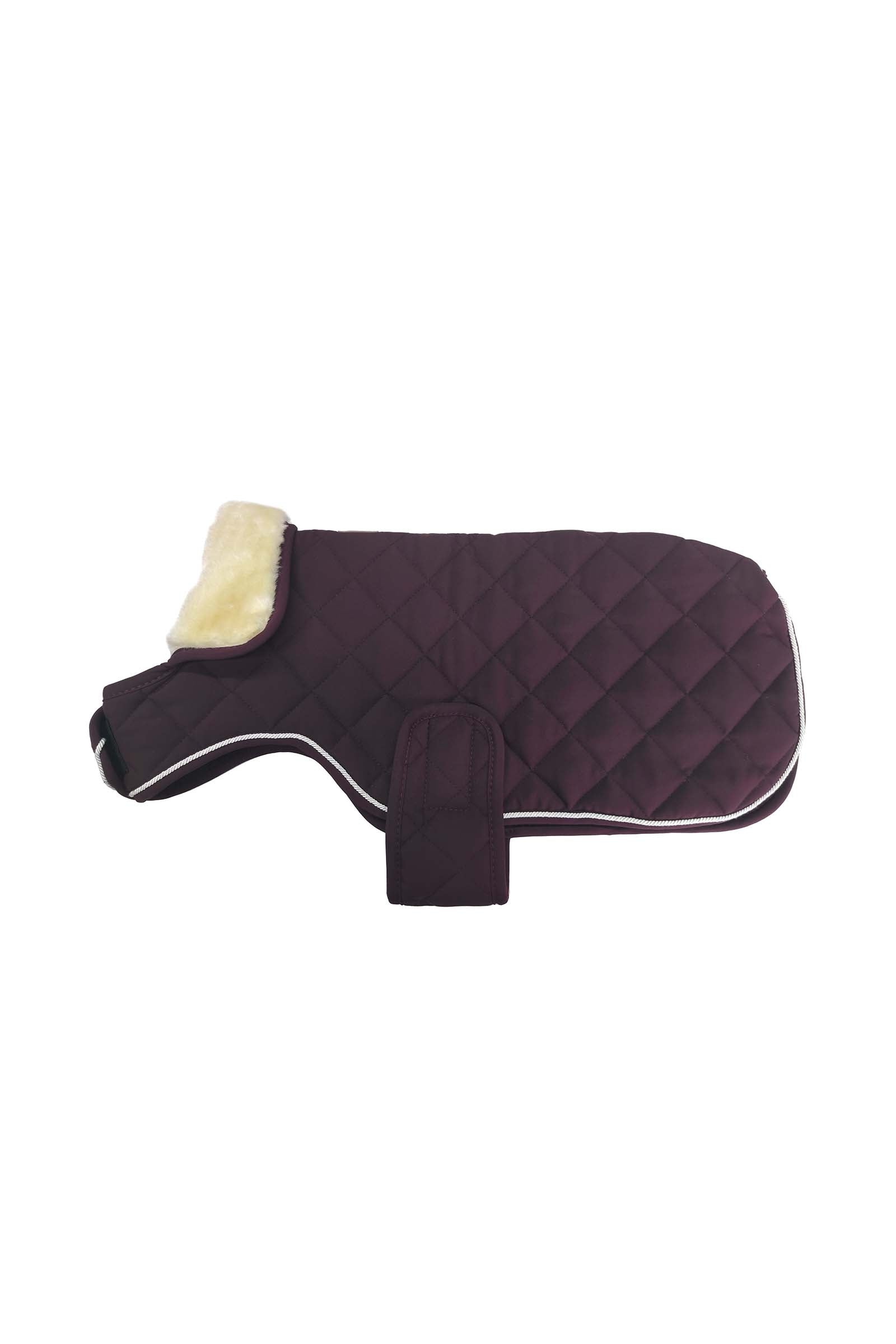 Harcour Rocket hondenjas Hond