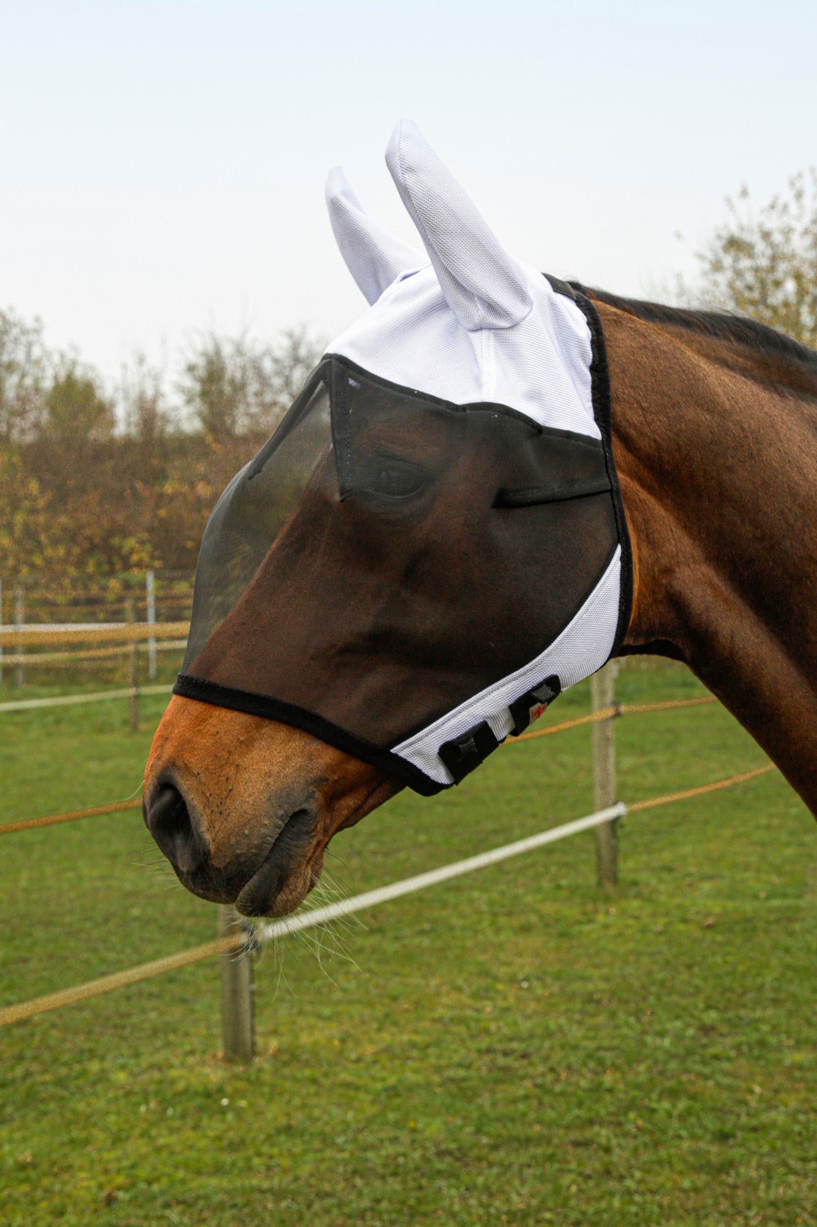 Covalliero SuperFly vliegenmasker met oorbescherming Vliegenbescherming