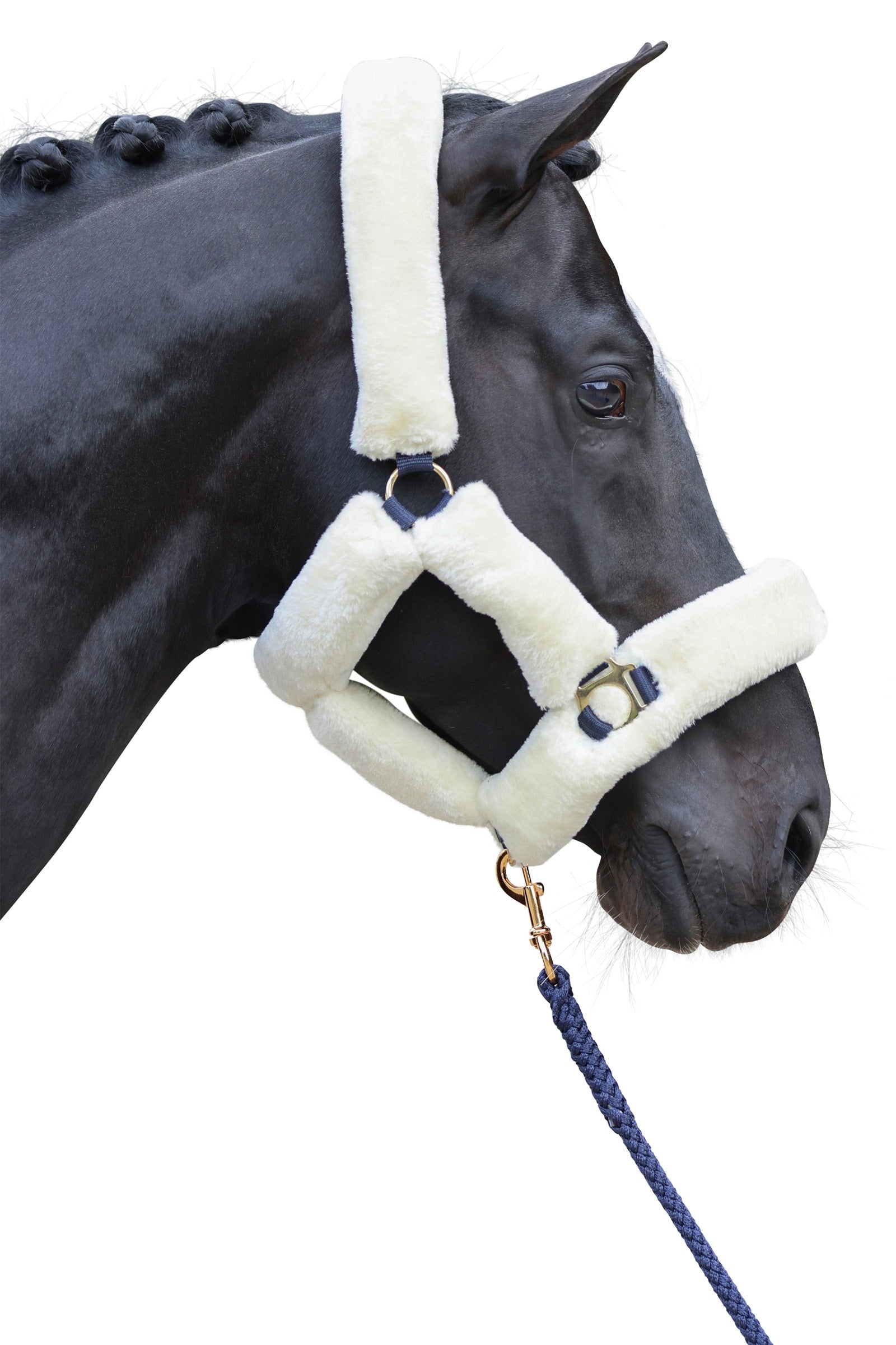 Covalliero SuperSoft halster Halsters & Halstertouwen