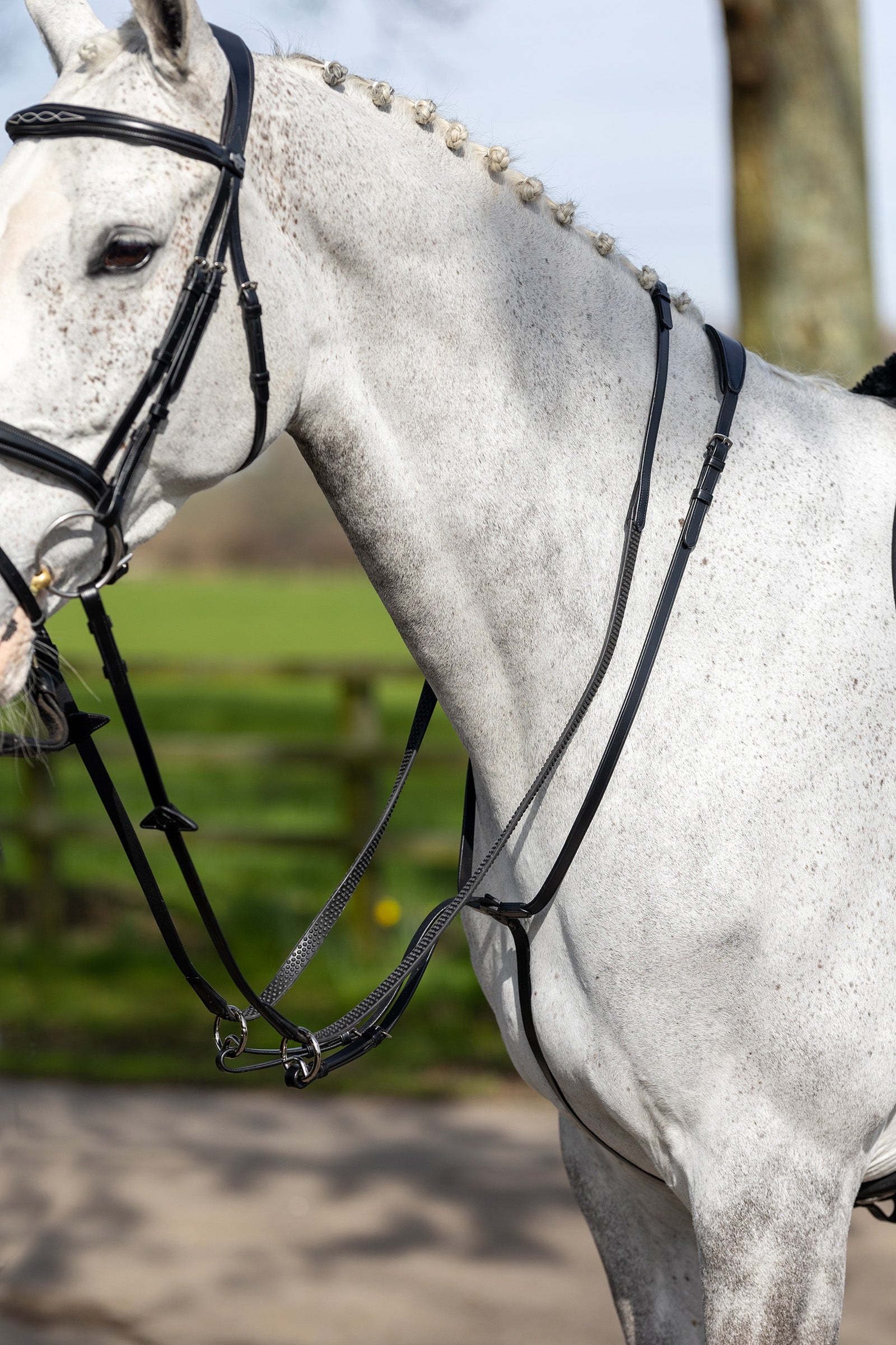 LeMieux losse martingaal Hoofdstellen & Teugels