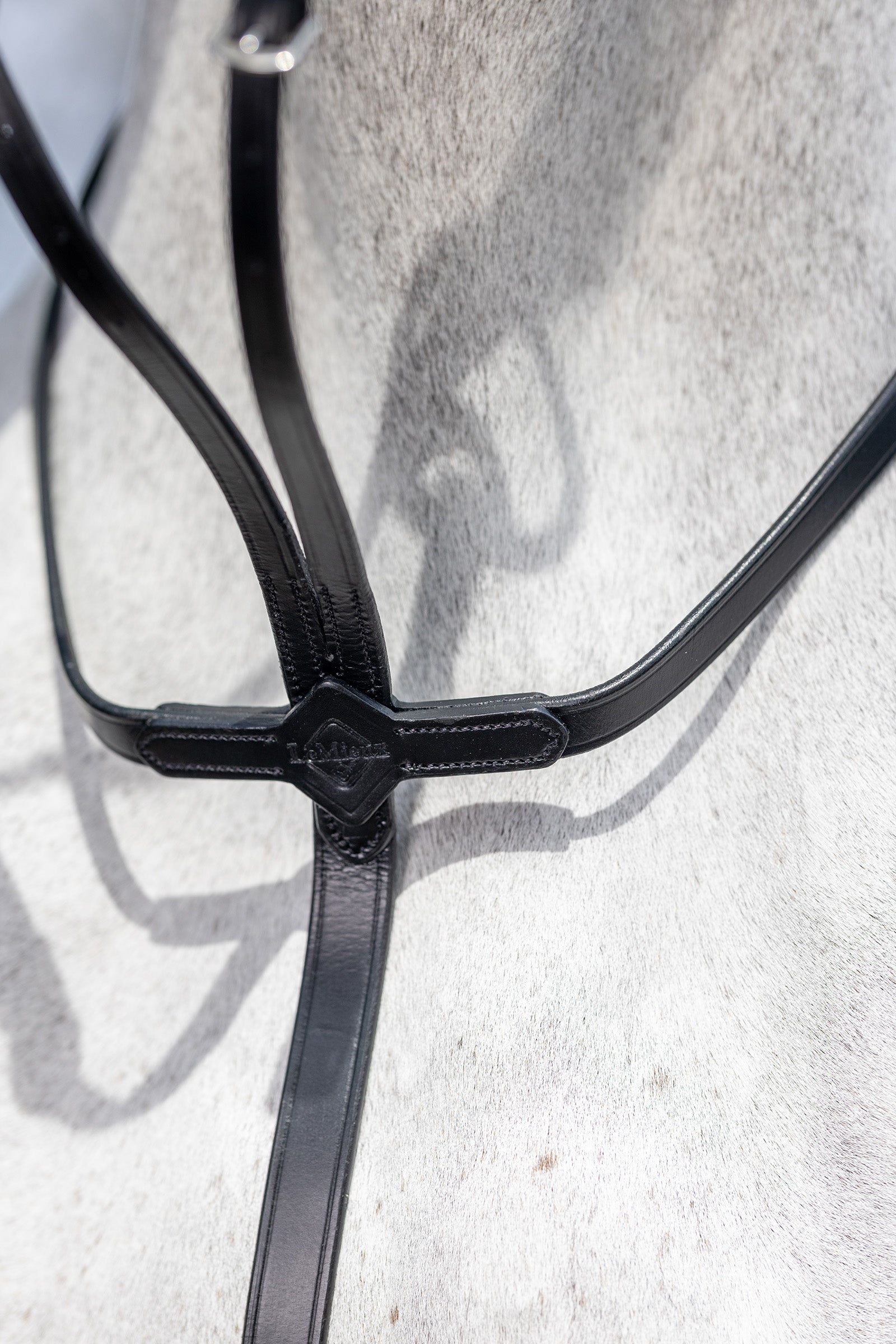 LeMieux Running Martingale Bridles & Reins