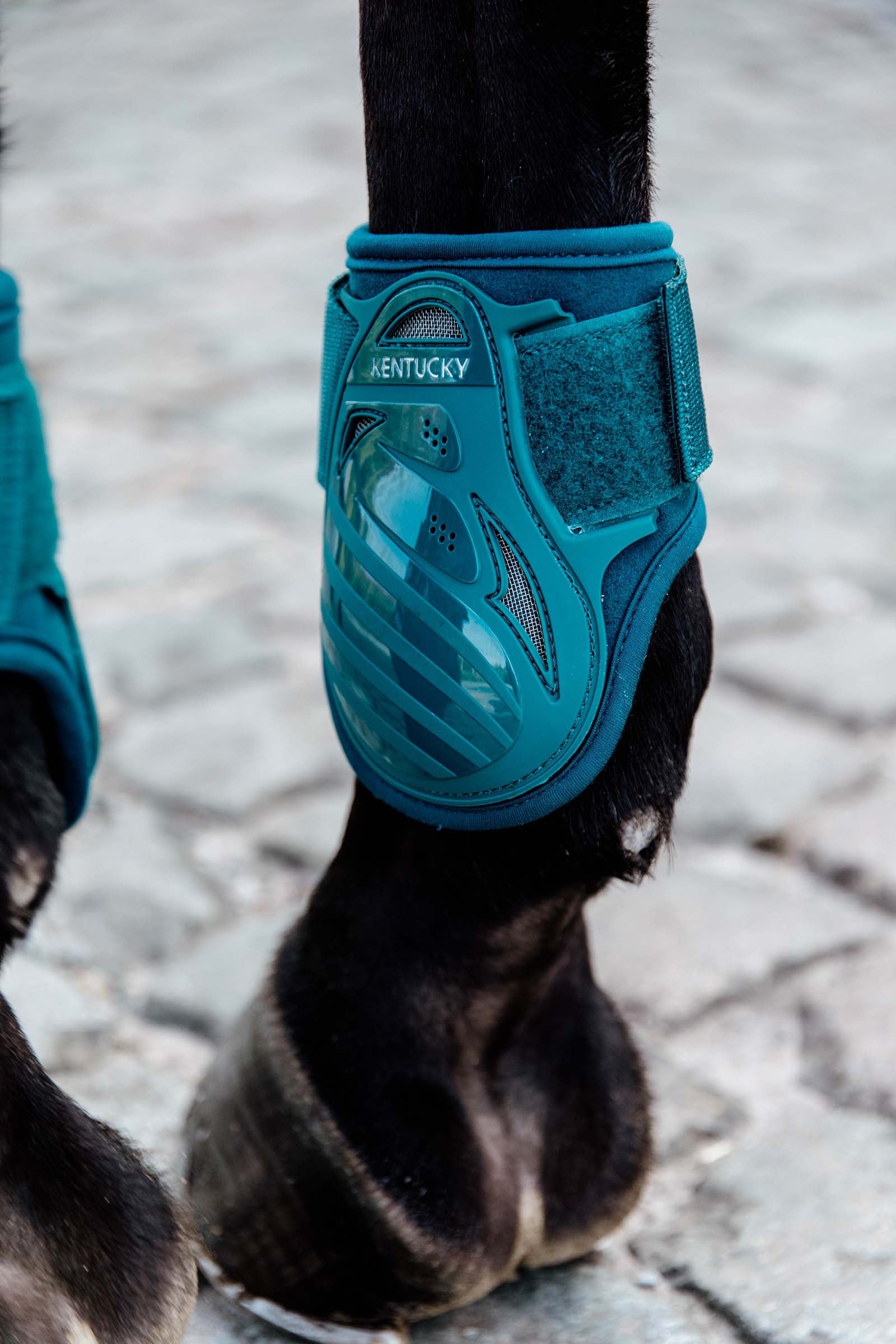 Kentucky Horsewear Young Horse Fetlock Boots Leg Protection & Hoof Protection for Horses