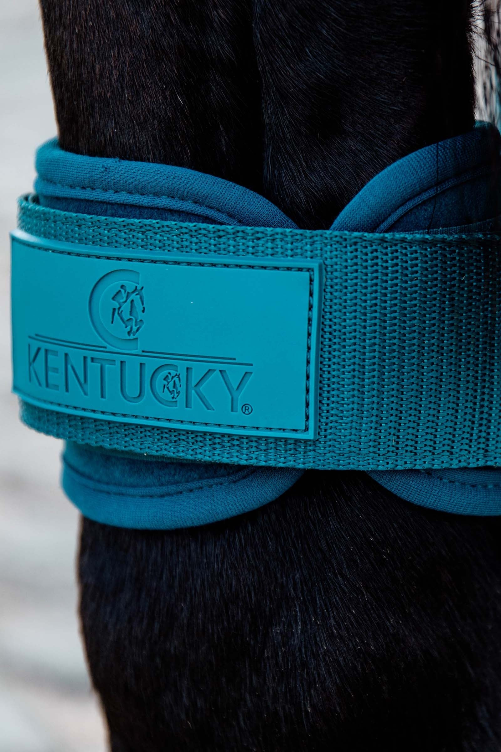 Kentucky Horsewear Young Horse Fetlock Boots Leg Protection & Hoof Protection for Horses