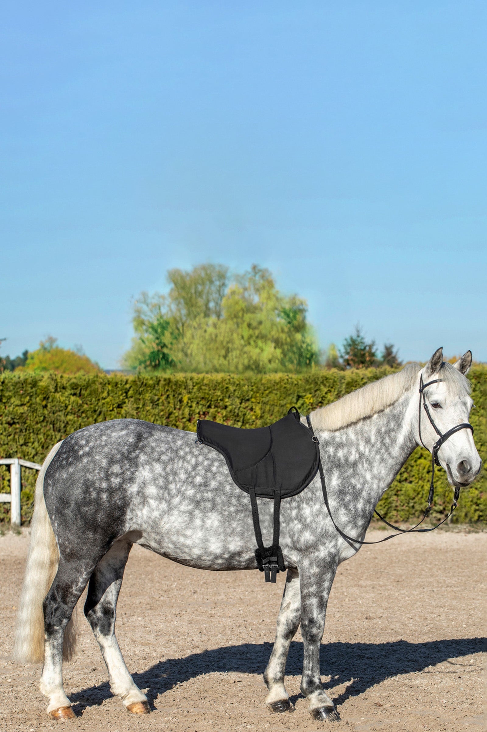 USG Bareback Pad Saddle Pads