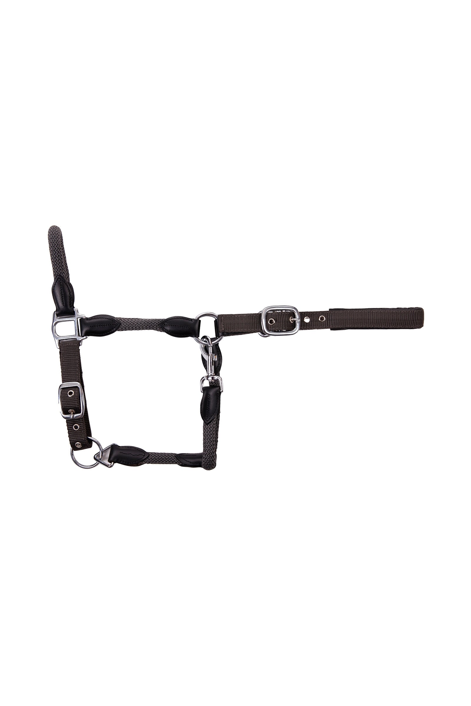 Alt Tag fallback text for IMAGE