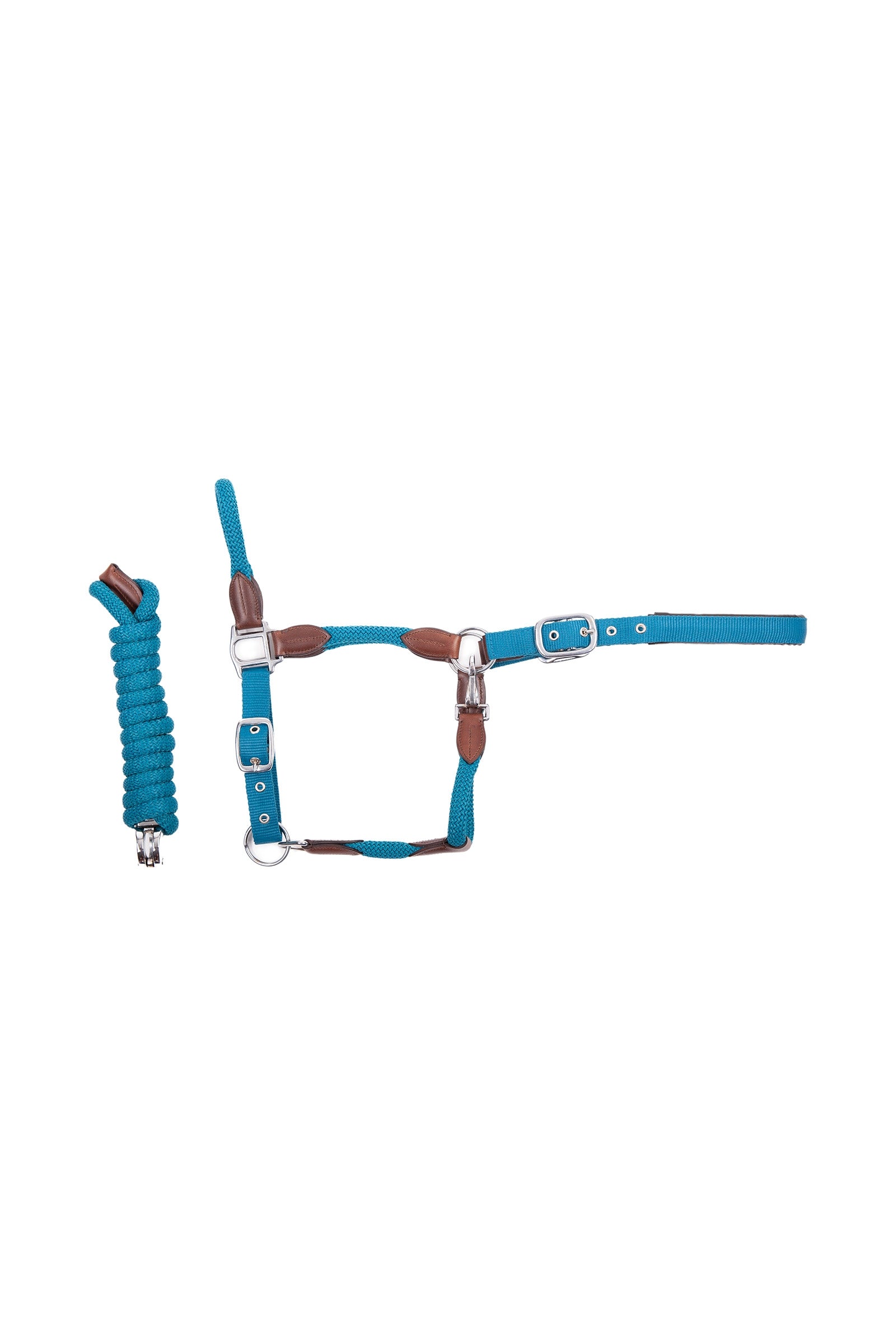 Alt Tag fallback text for IMAGE