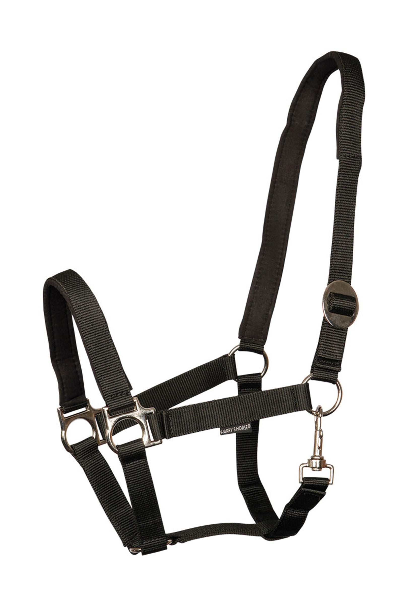 Harry's Horse Halster Padded Halsters & Halstertouwen