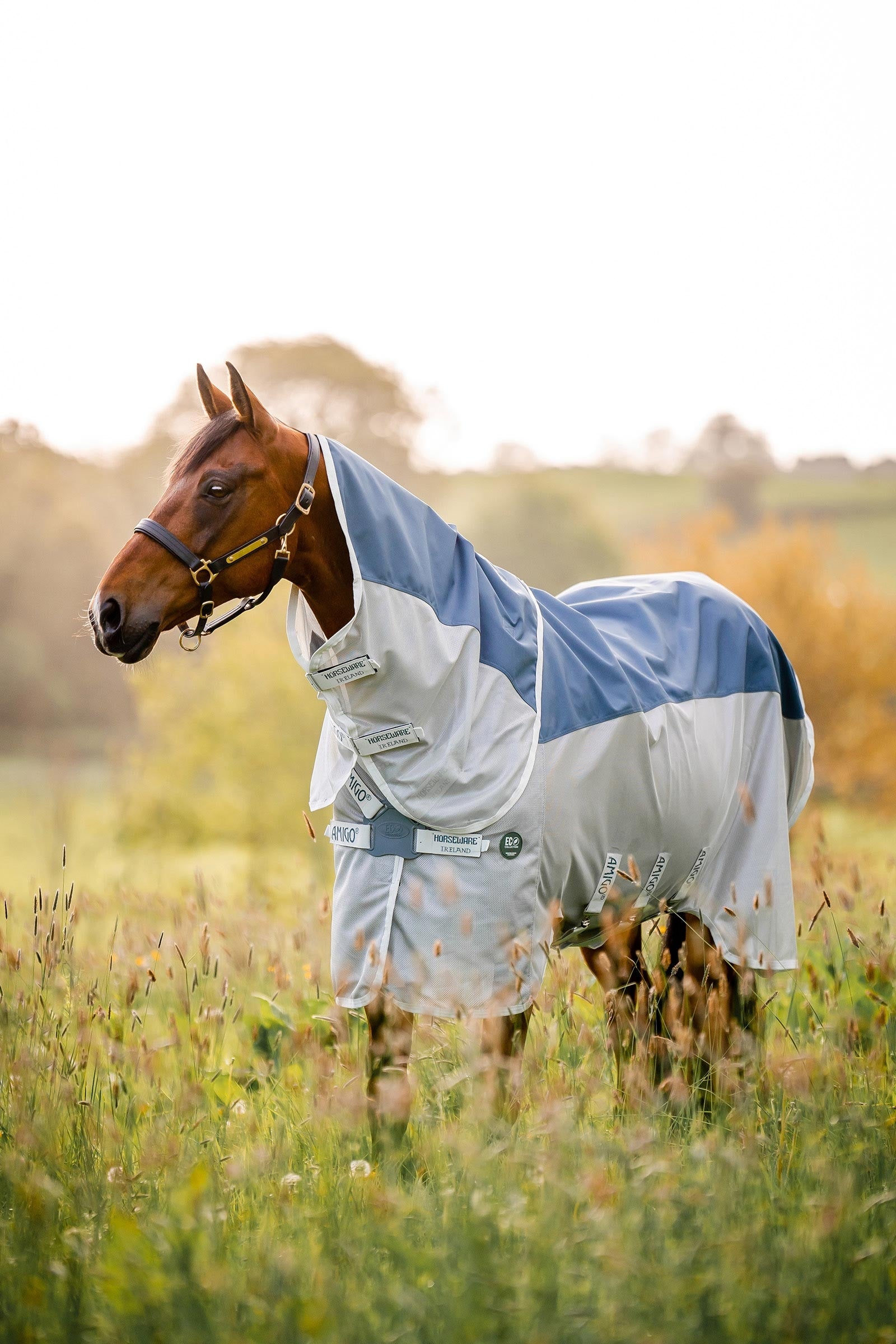 Horseware Amigo AmEco Combi Fly Rug Horse Rugs