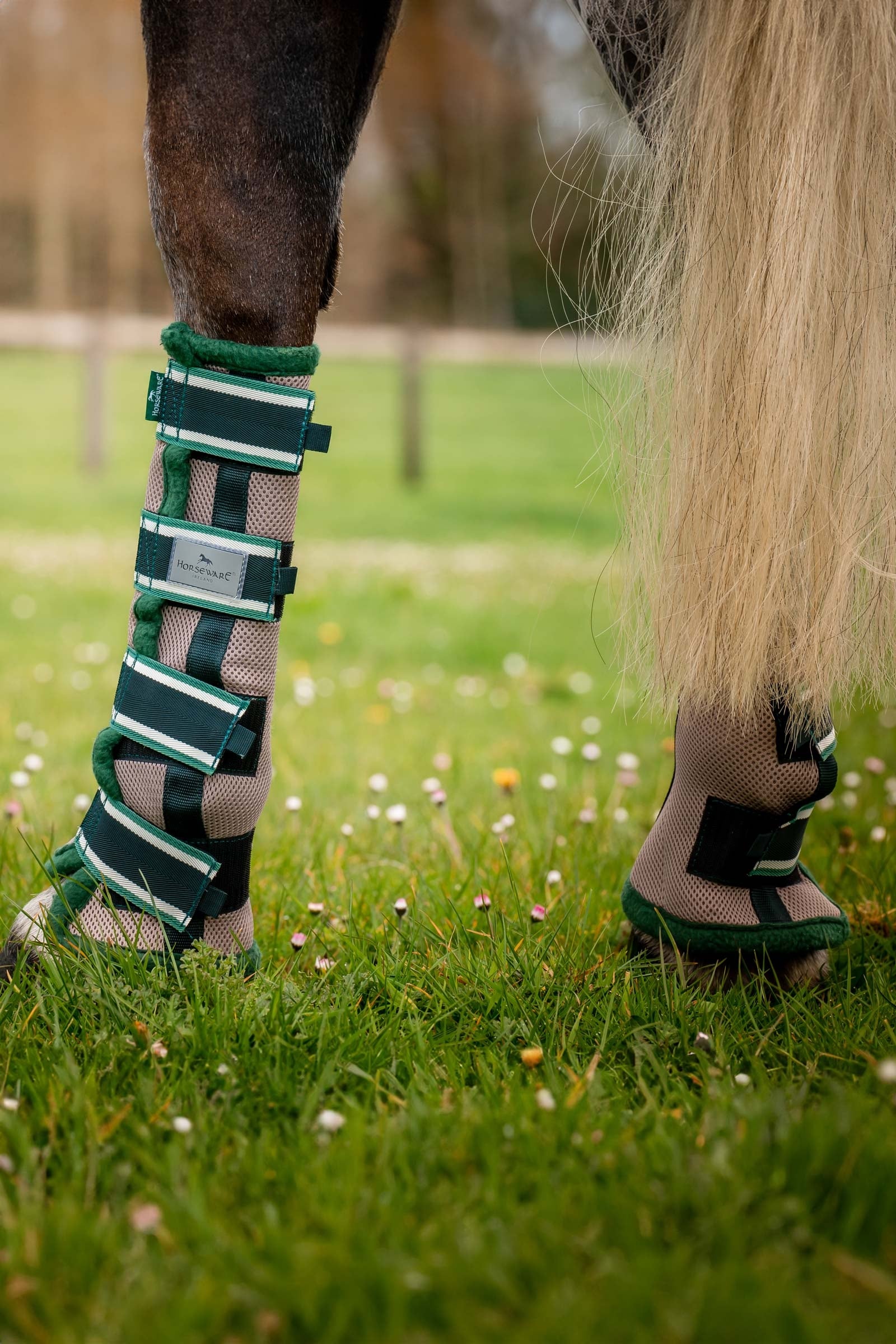 Horseware Fly Boots Antifly Protection for Horses