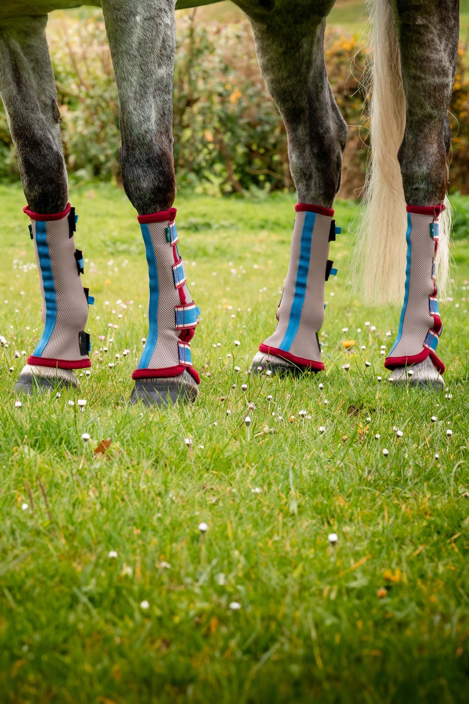 Horseware Fly Boots Antifly Protection for Horses