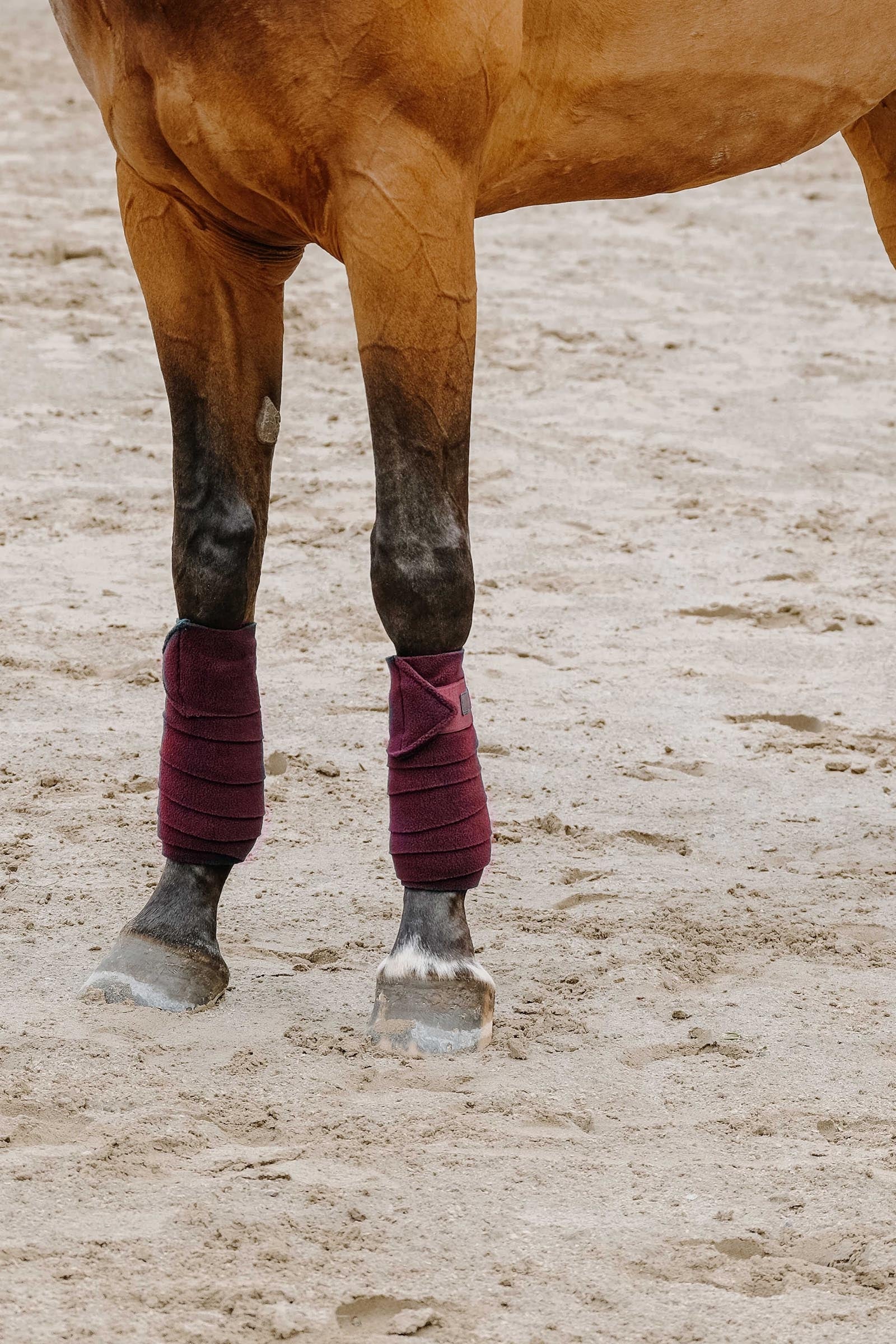 Equi Theme EQUITHÈME Polo Bands (3,0 m) Leg & Hoof Protection