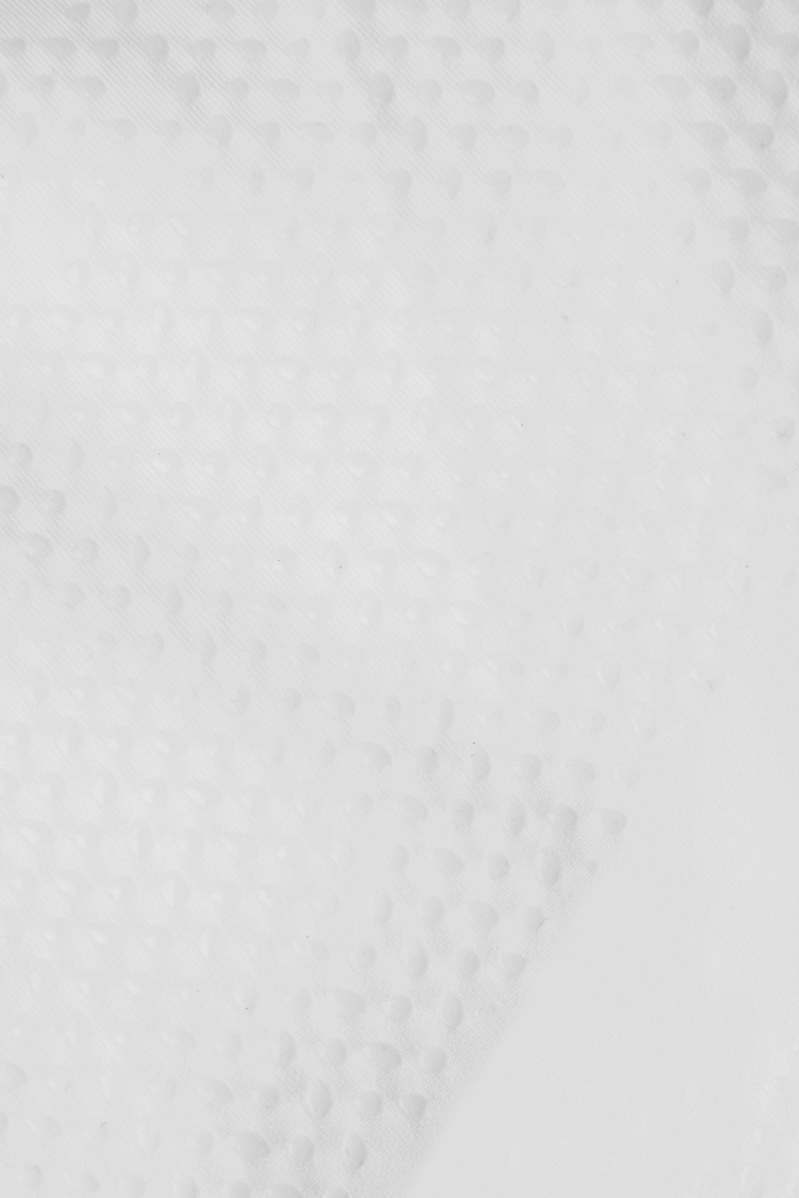 Alt Tag fallback text for IMAGE