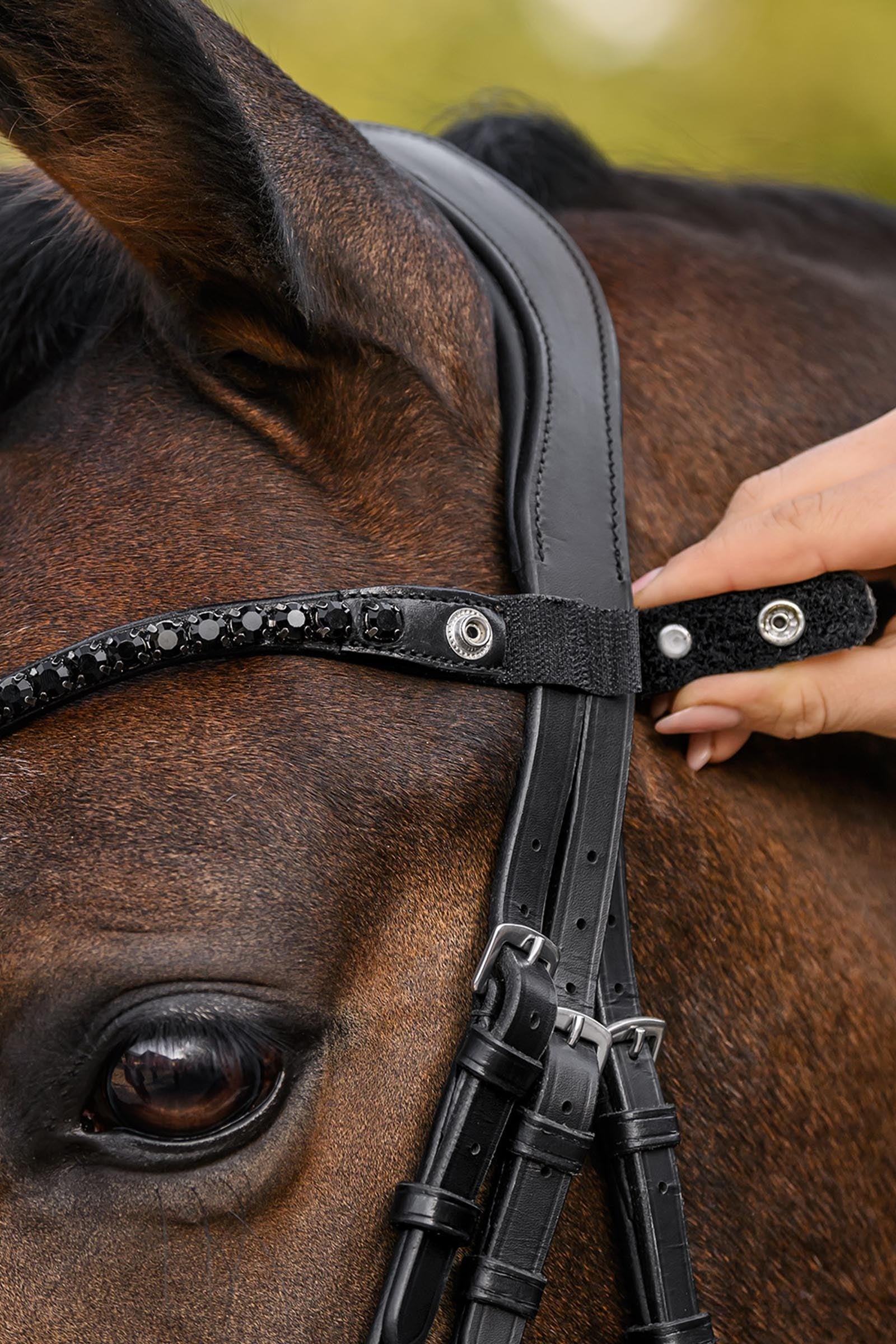 Waldhausen X-Line Shine Browband Bridles & Reins