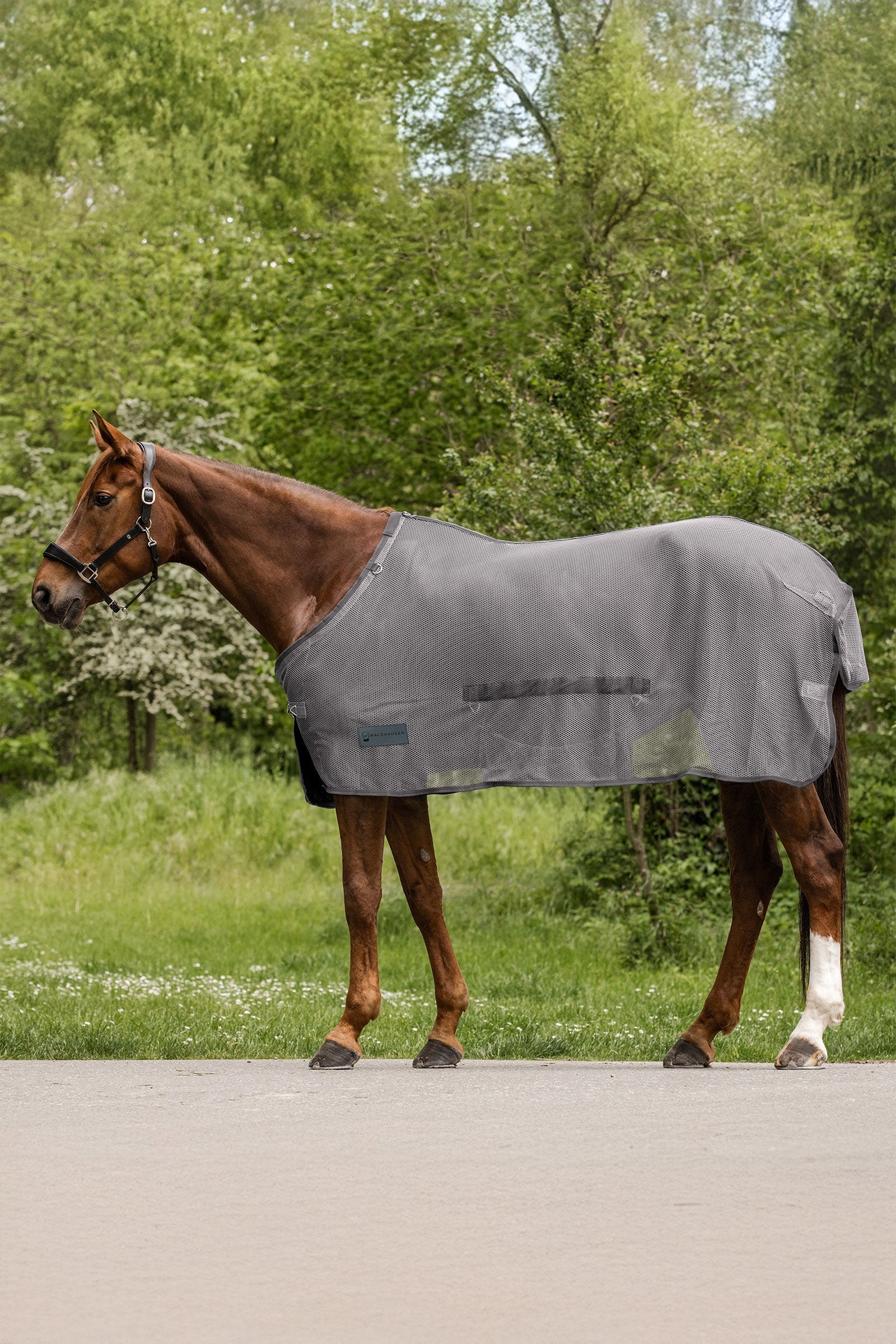 Waldhausen Comfort vliegendeken met buikflap Paardendekens