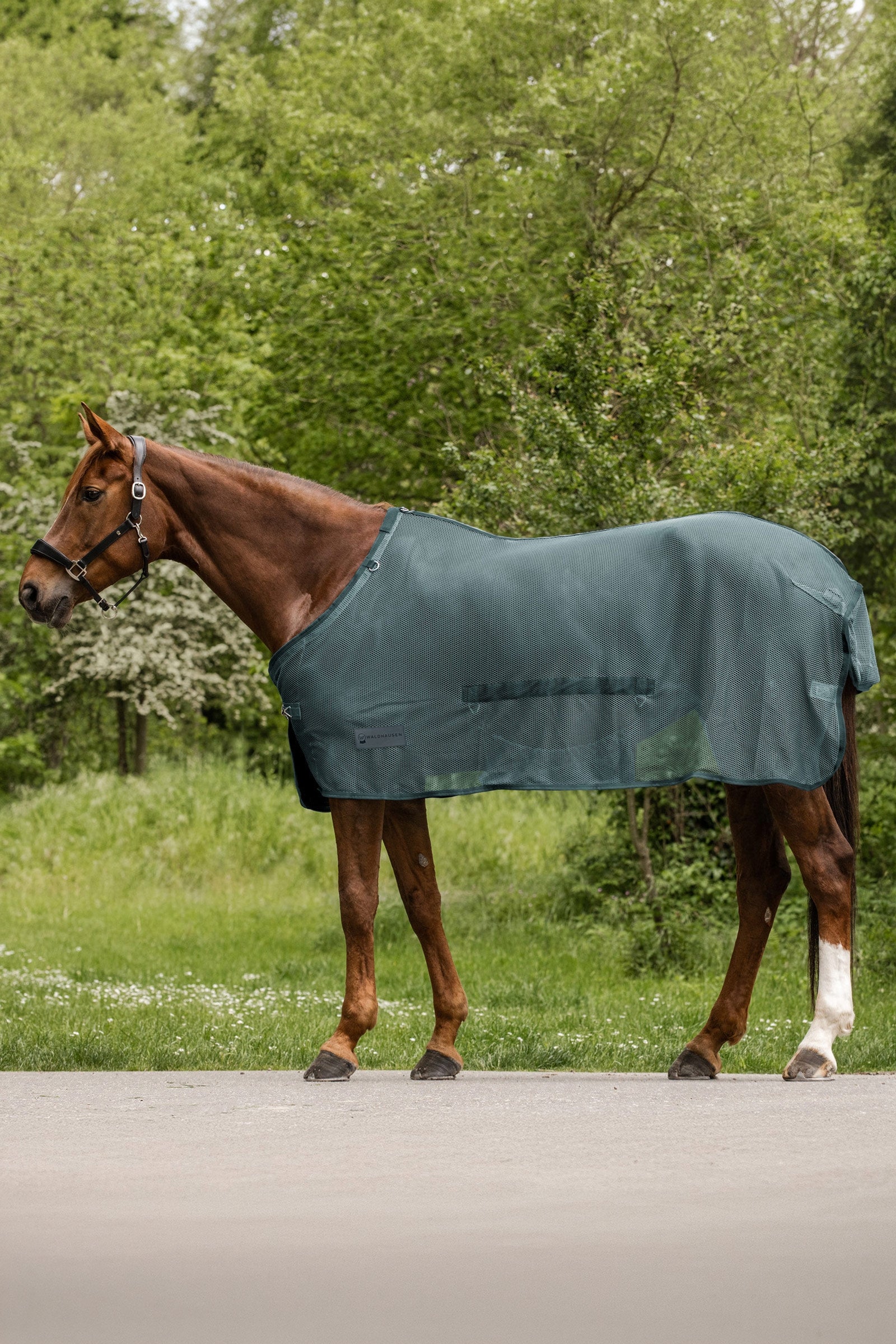 Waldhausen Comfort vliegendeken met buikflap Paardendekens