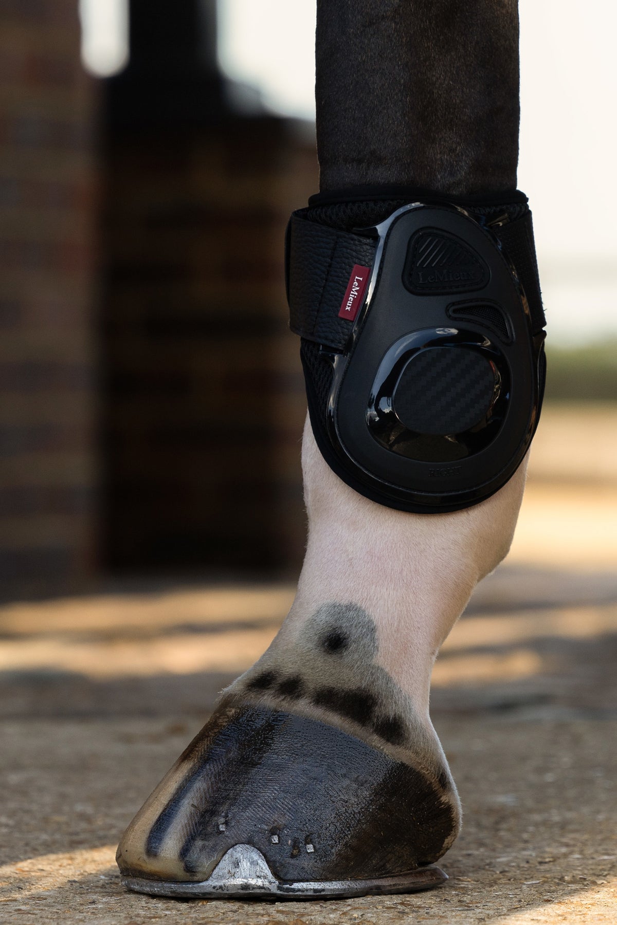 LeMieux Lemieux Compliant Fetlock Boot Leg & Hoof Protection