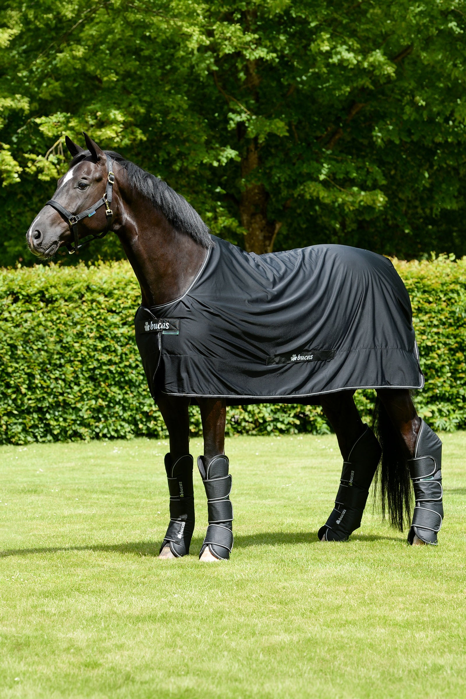 Bucas Shamrock Power Horse Rugs