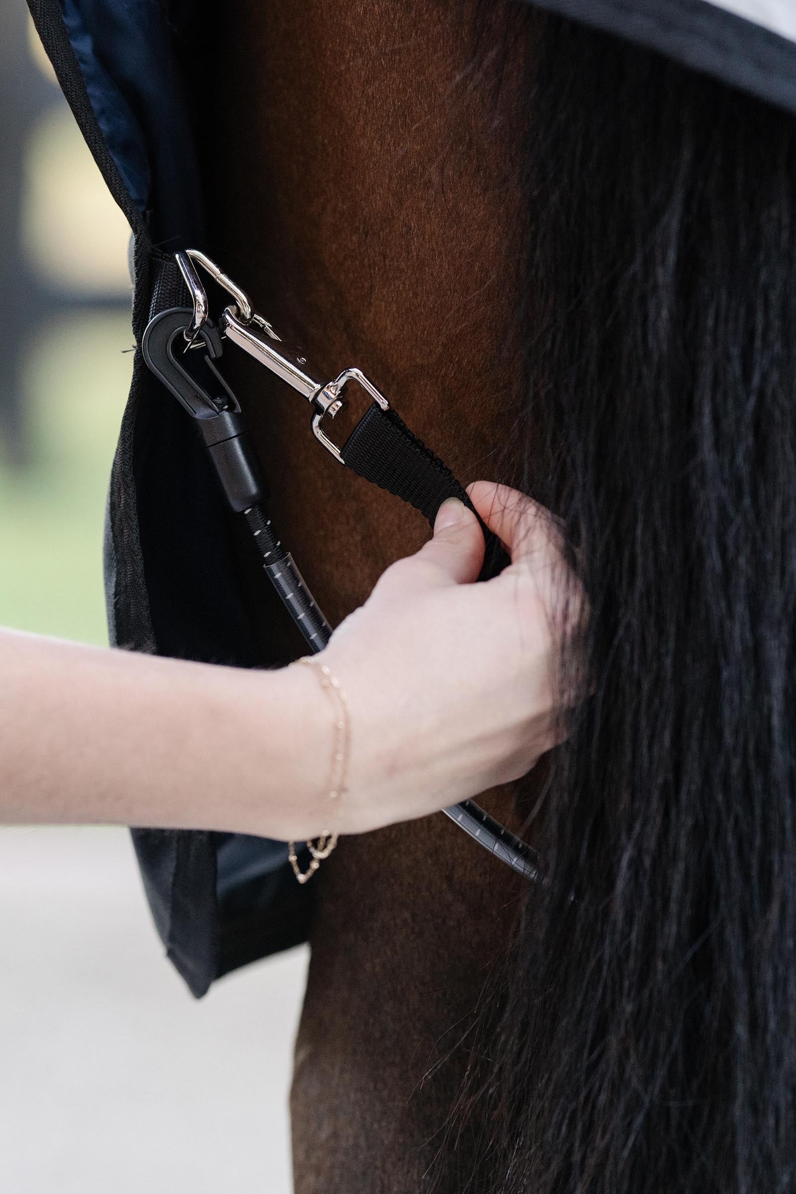Horseware Elasticated Leg Straps Paardendekens