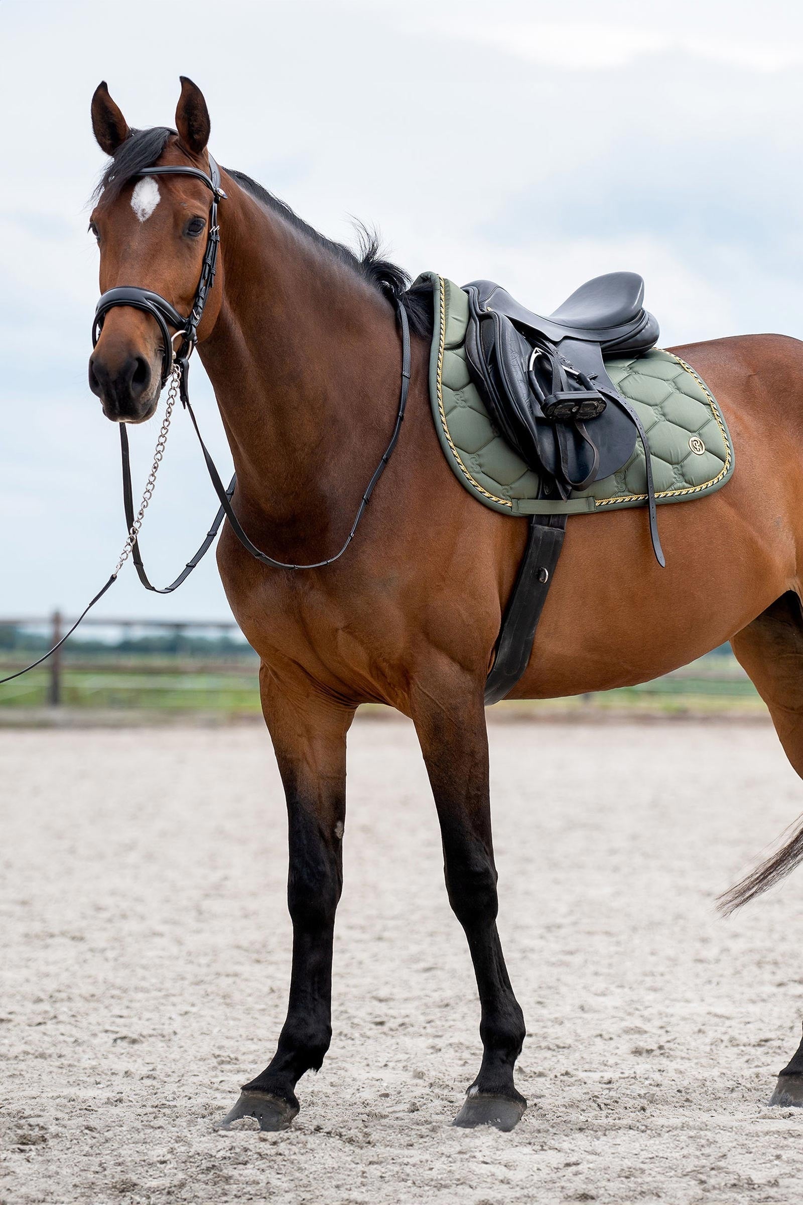 PS of Sweden Signature Jumping Saddle Pad Saddle Pads