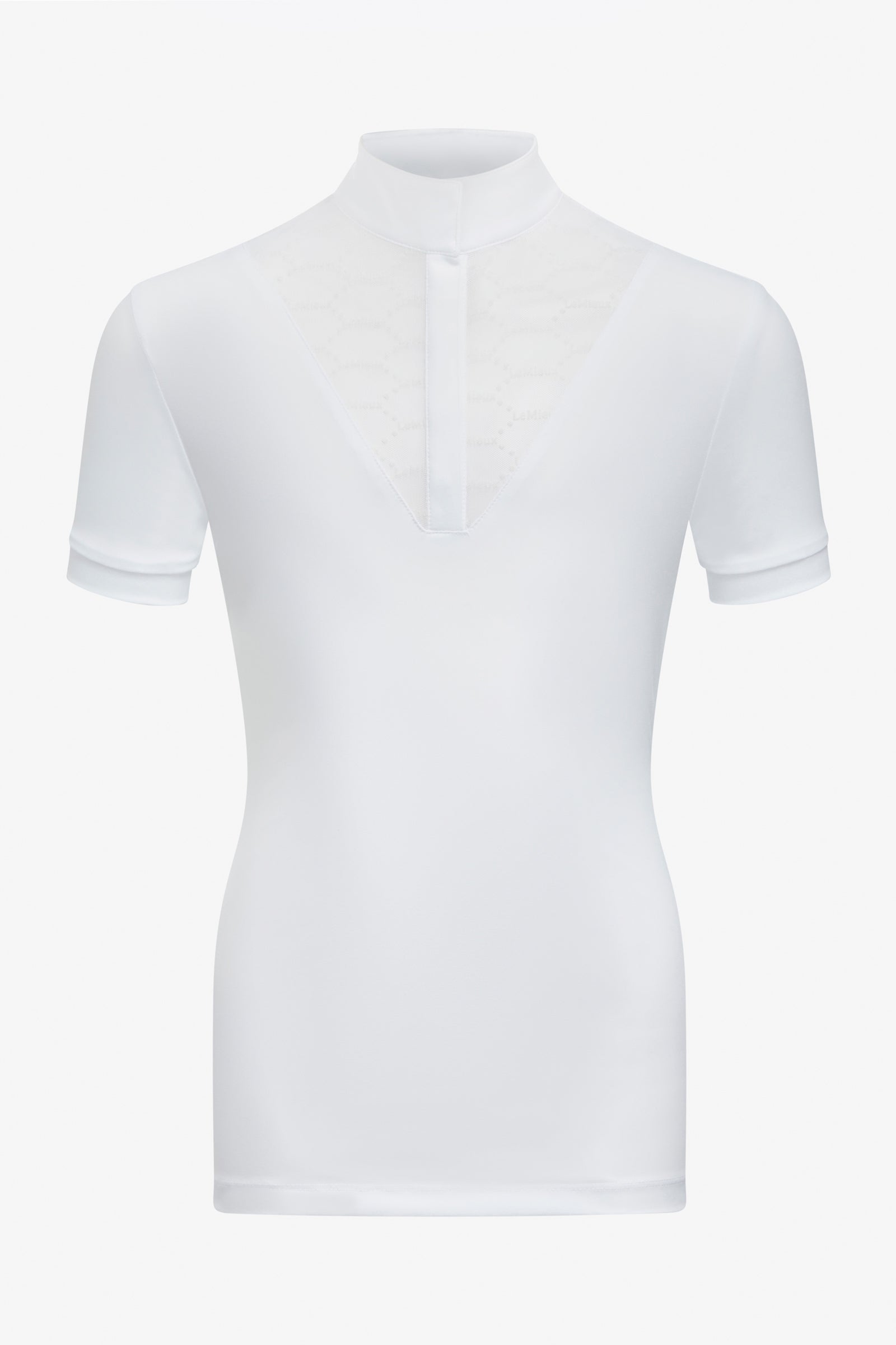 Alt Tag fallback text for IMAGE