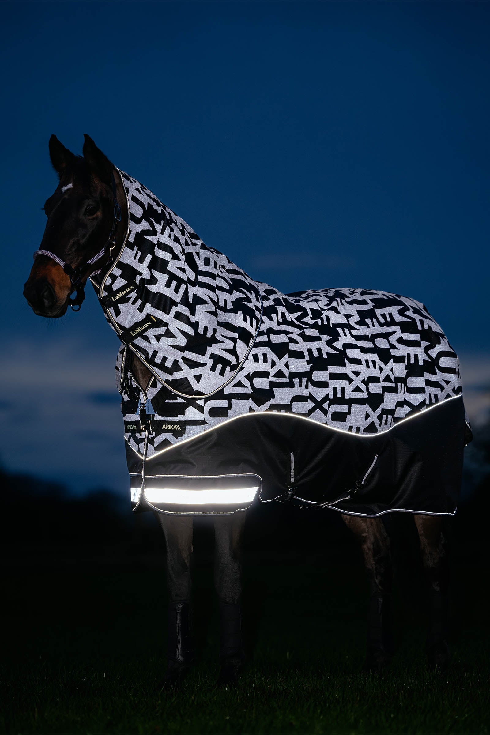 LeMieux Arika Reflective Turnout Rug With Detachable Neck, 0 g Paardendekens