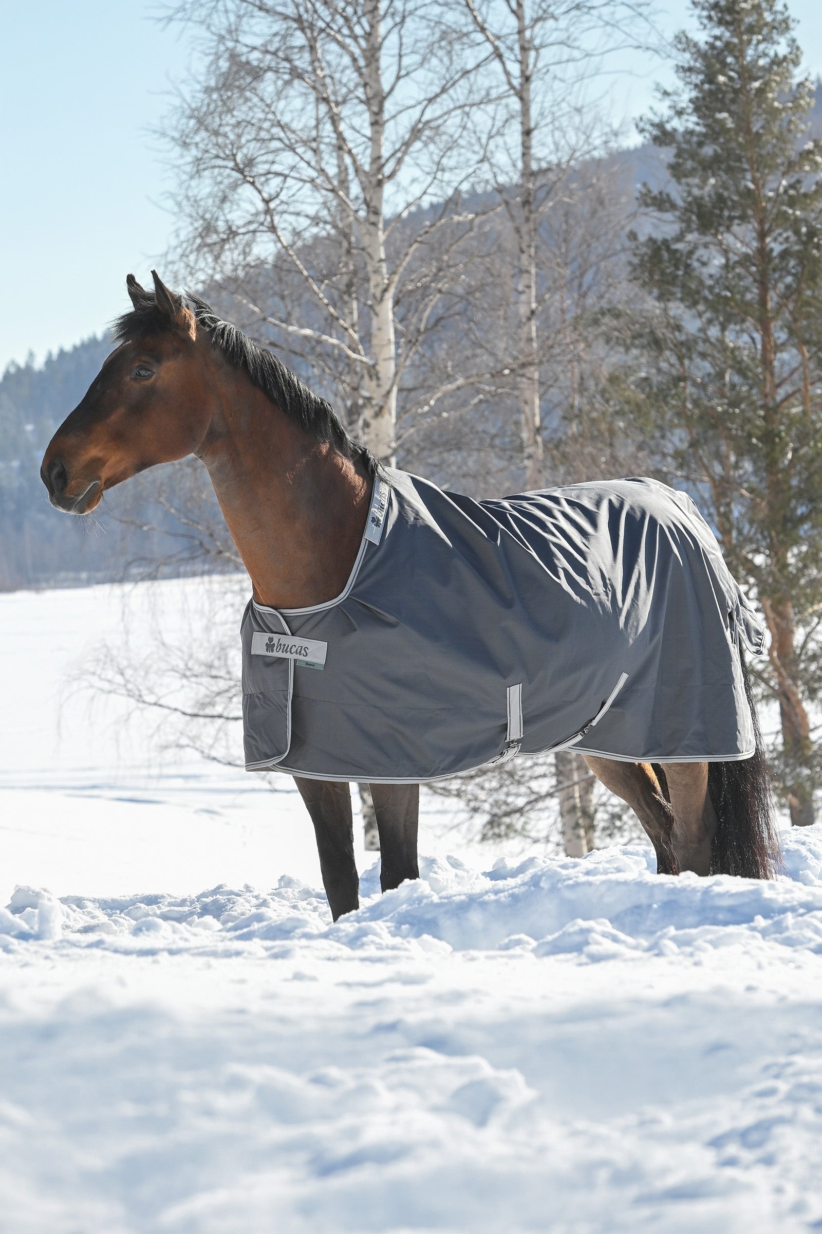 Bucas Smartex Extra Rug 300g Horse Rugs