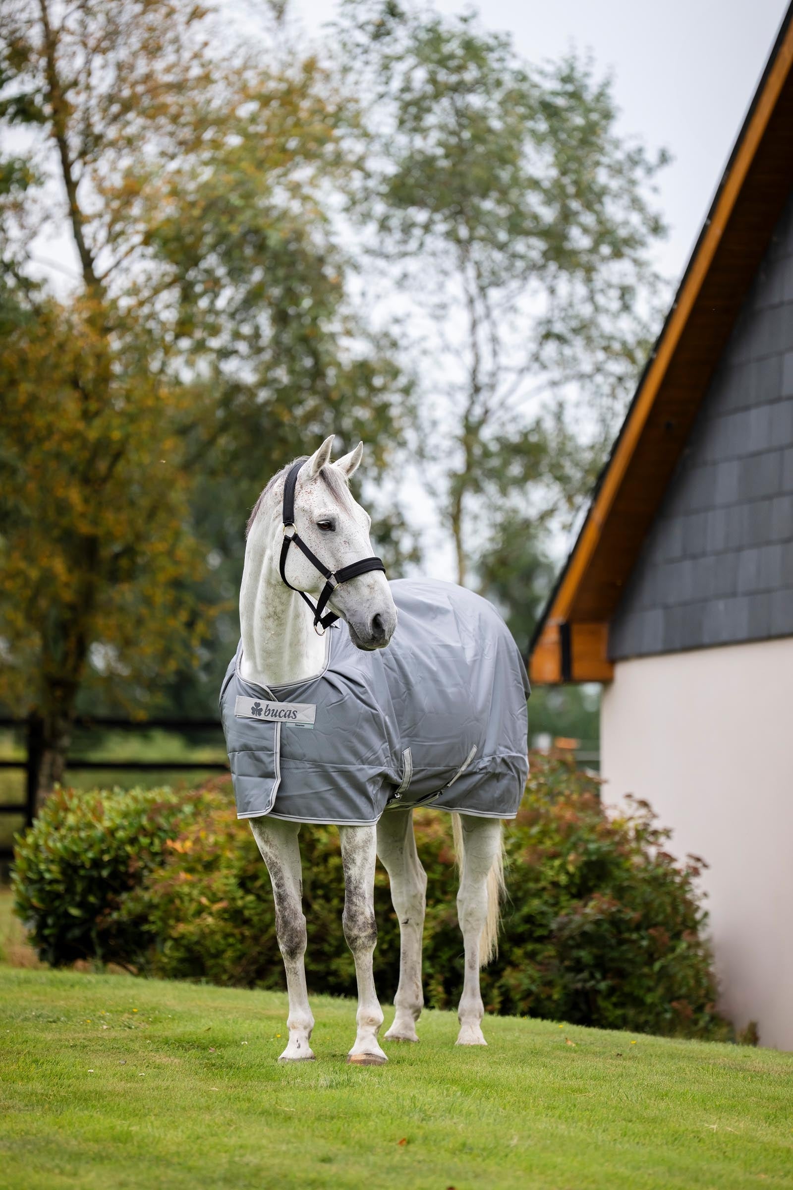 Bucas Smartex Extra Rug 300g Horse Rugs