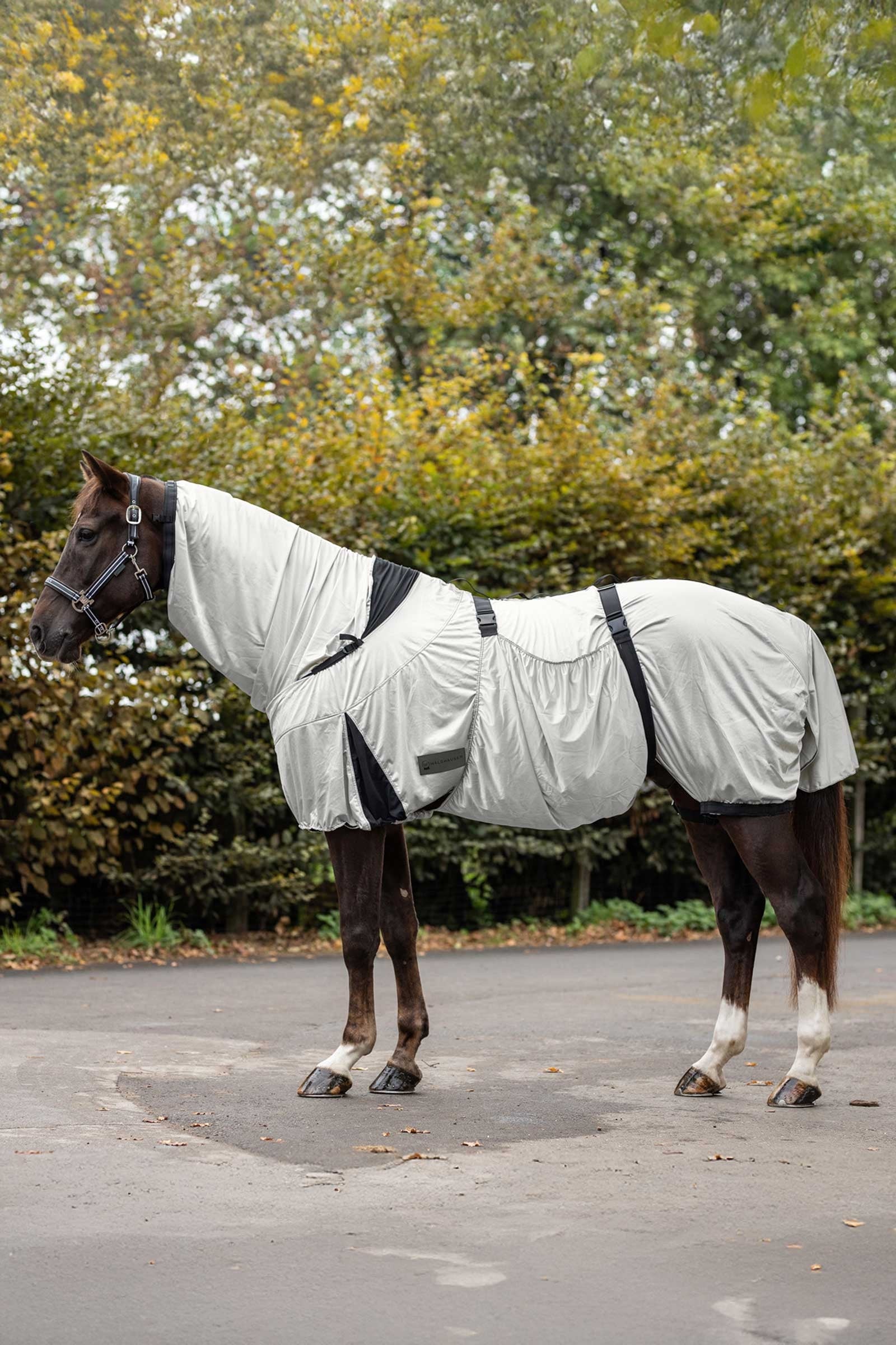 Waldhausen Premium eczeemdeken Paardendekens