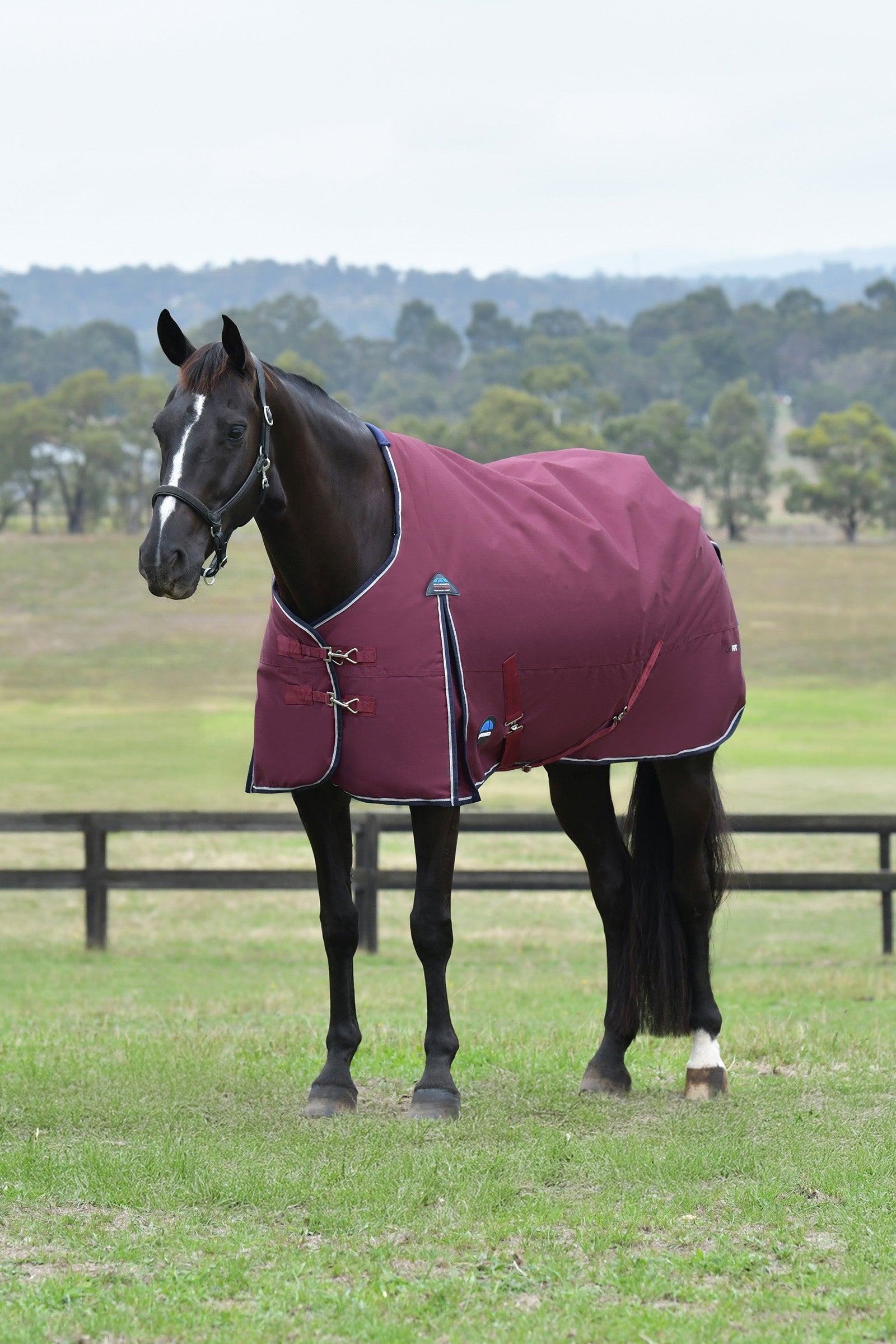 Weatherbeeta ComFiTec Essential Turnout Rug, 0 g Paardendekens