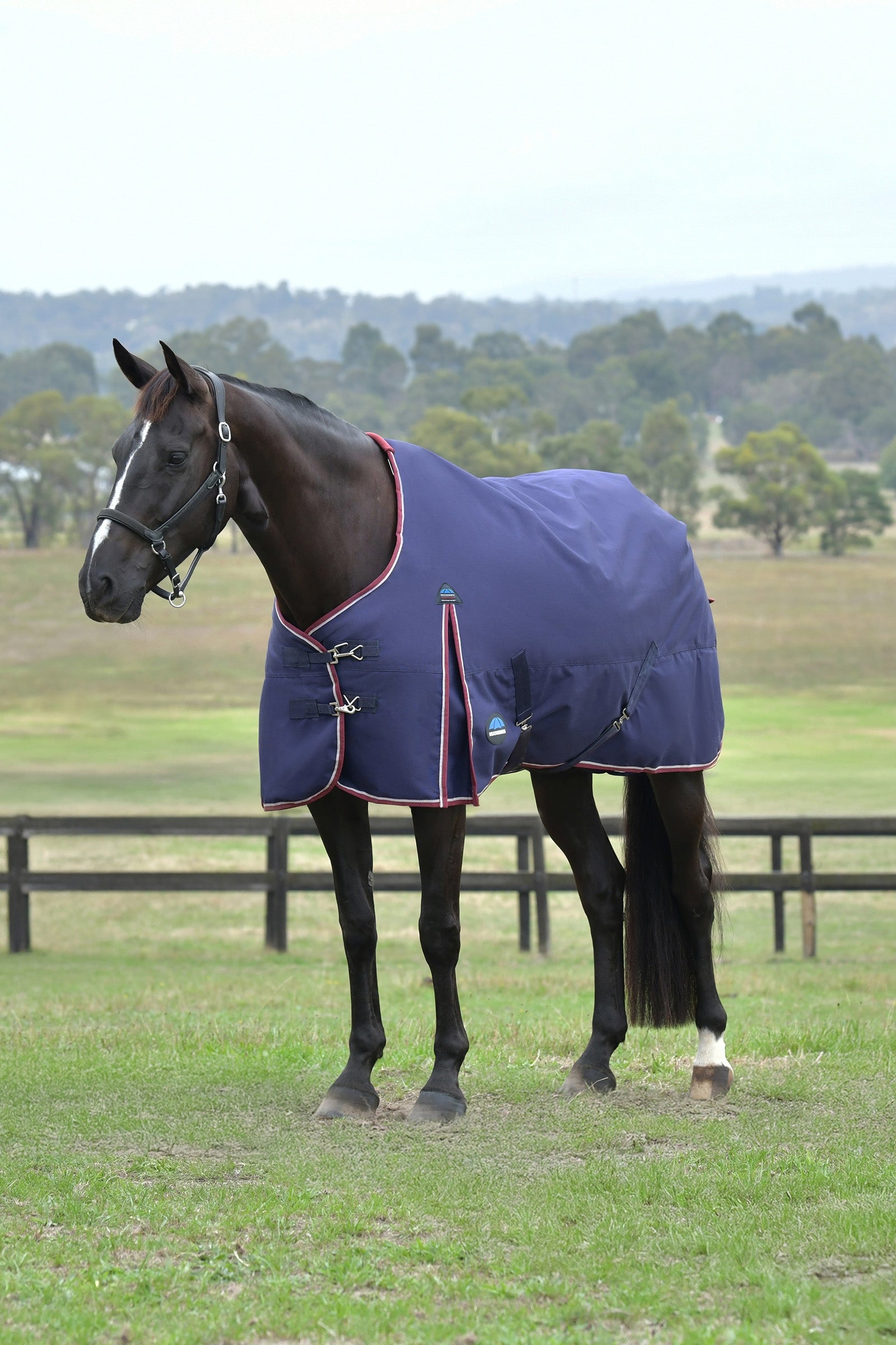 Weatherbeeta ComFiTec Essential Turnout Rug, 0 g Paardendekens