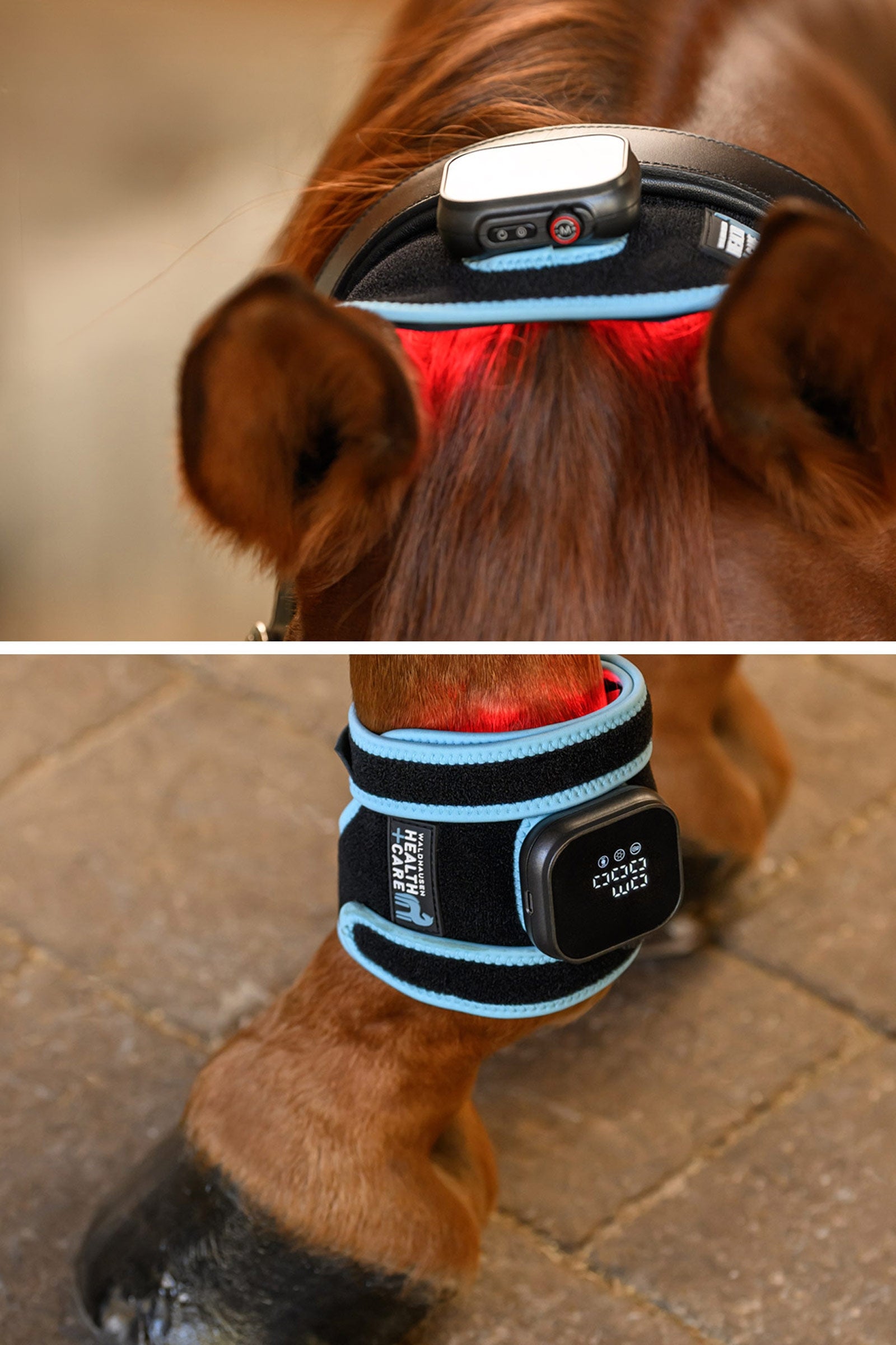 Waldhausen Health + Care infrarood FlexPad Leg & Hoof Protection
