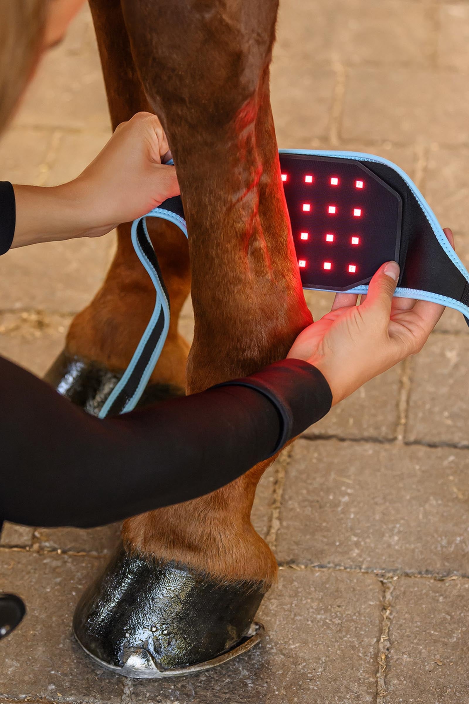 Waldhausen Health + Care Infra-Red FlexPad Leg & Hoof Protection