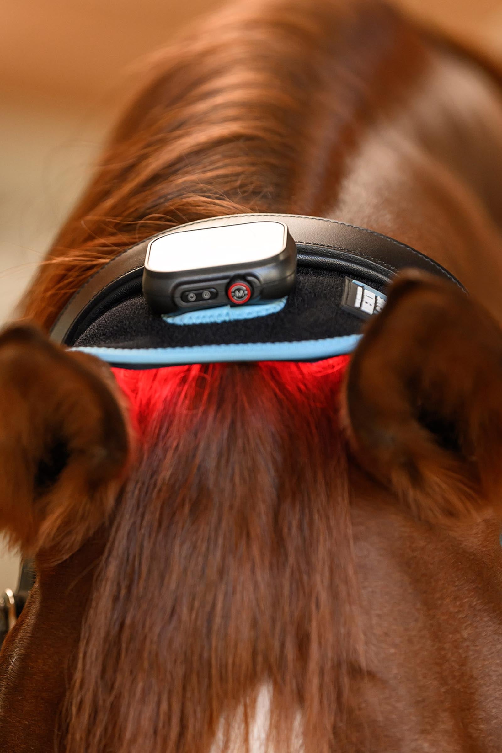 Waldhausen Health + Care Infra-Red FlexPad Leg & Hoof Protection