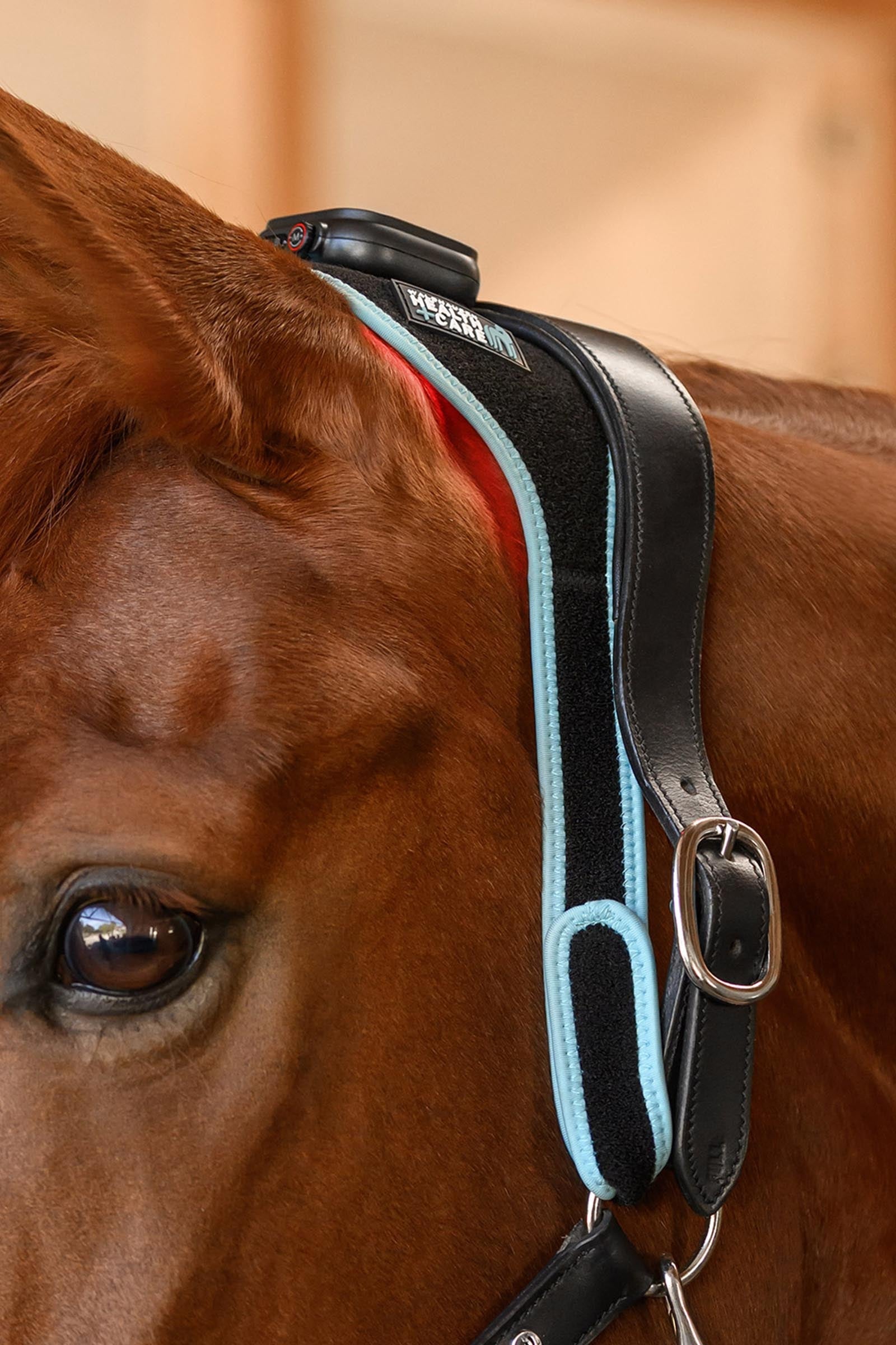 Waldhausen Health + Care Infra-Red FlexPad Leg & Hoof Protection