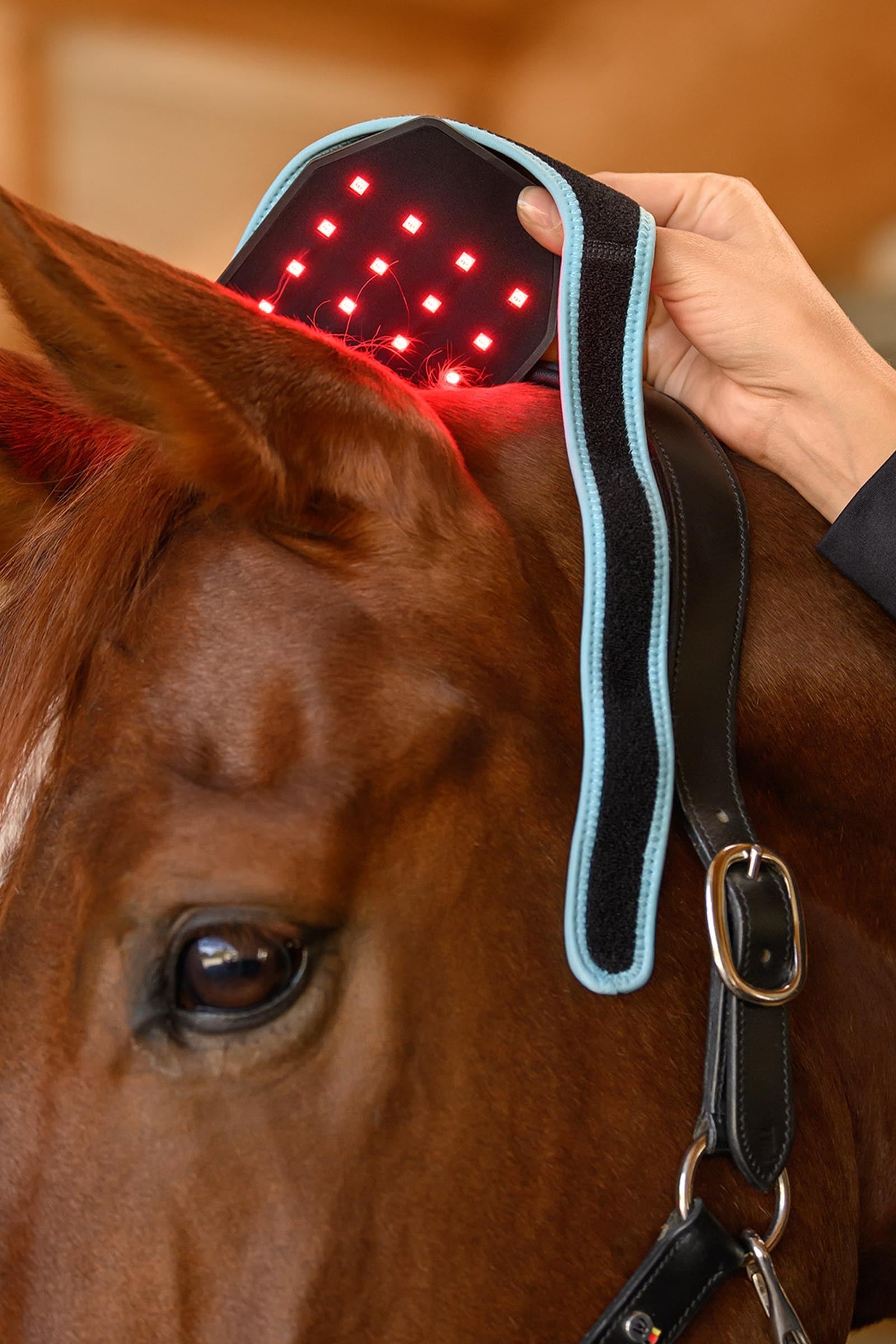 Waldhausen Health + Care Infra-Red FlexPad Leg & Hoof Protection