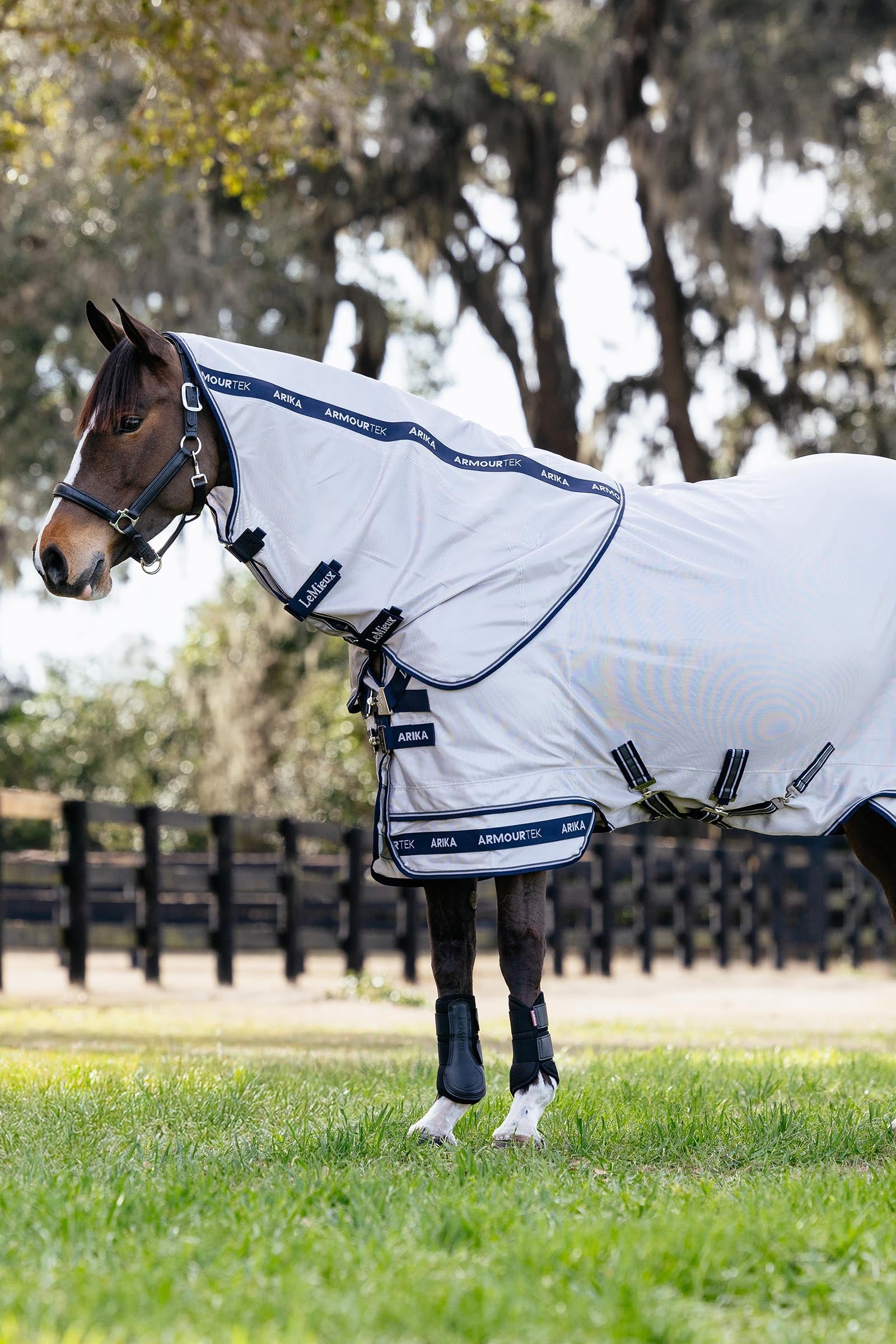 LeMieux Arika Armour-Tek Fly Rug w. Detachable Neck Horse Rugs