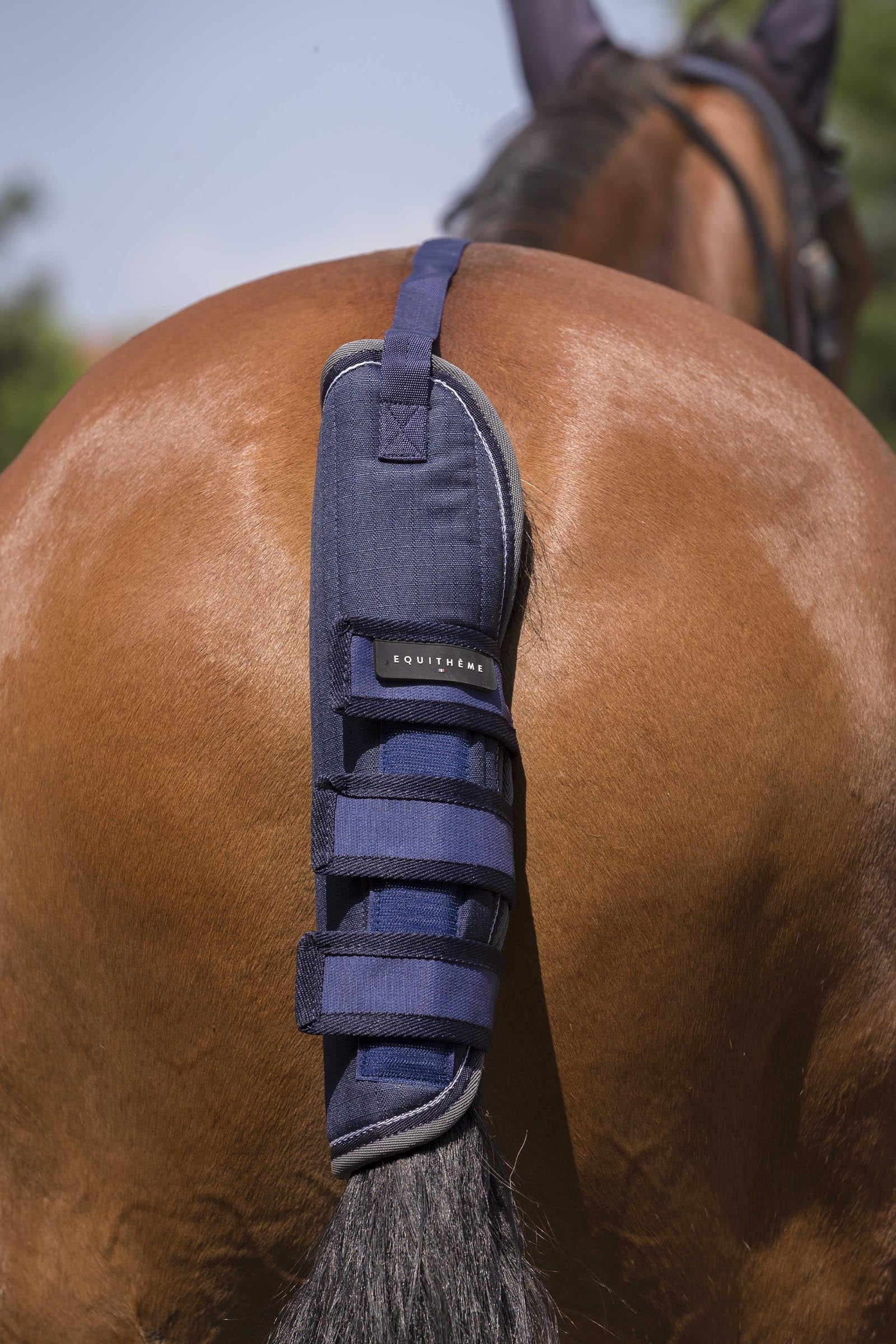 EQUITHÈME TYREX 600D staartbeschermer Leg & Hoof Protection