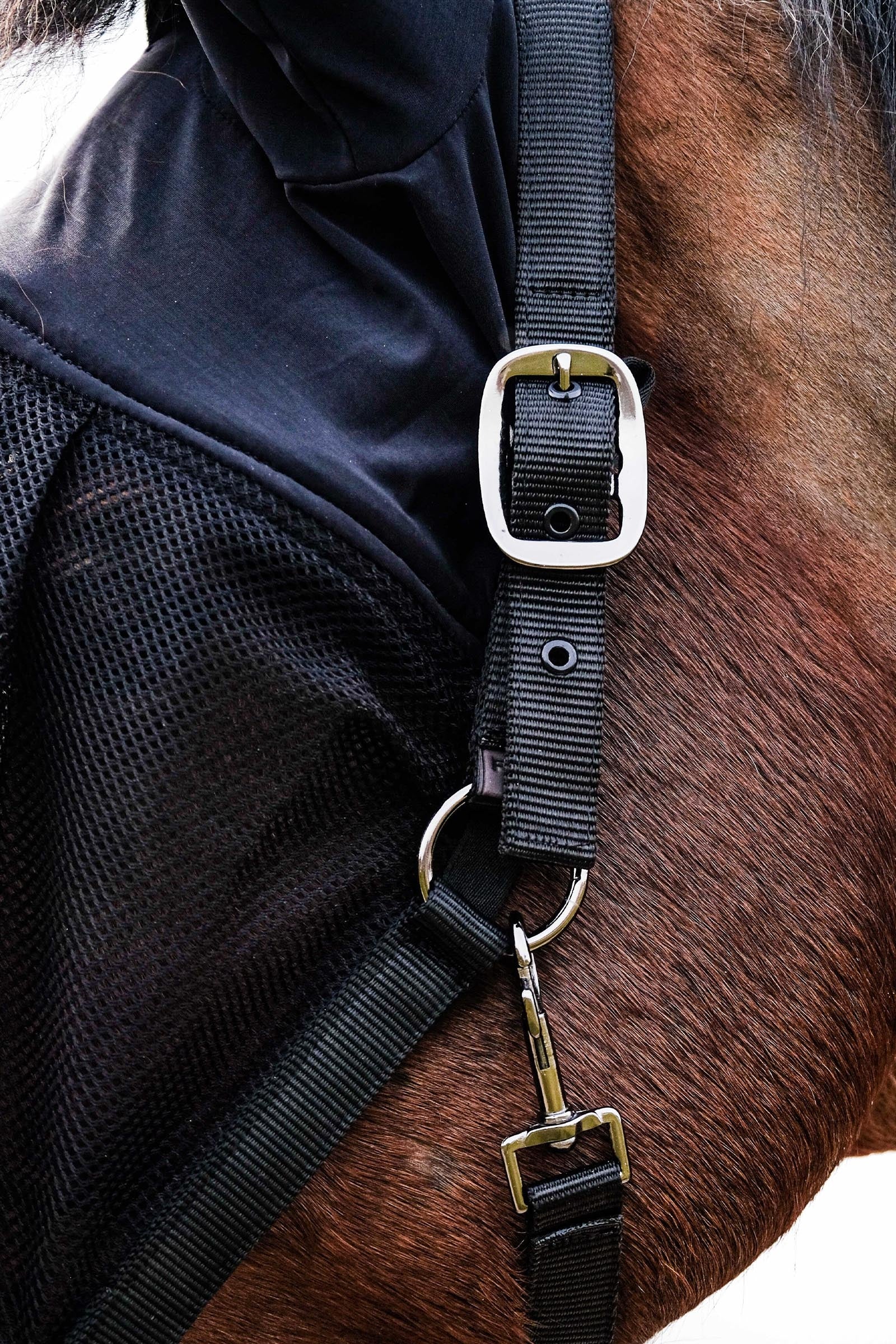 Equi Theme EQUITHÈME Halter + Mask Antifly Protection for Horses