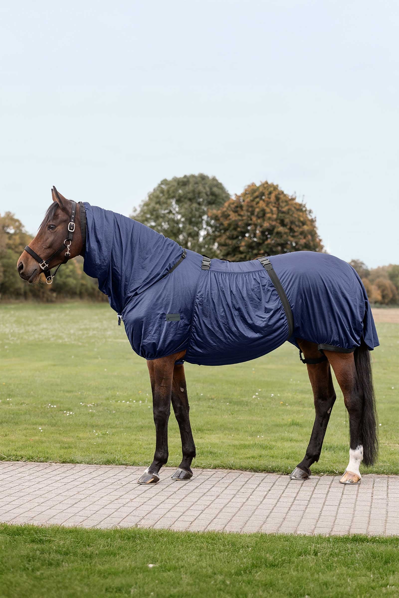 Waldhausen eczeemdeken Paardendekens