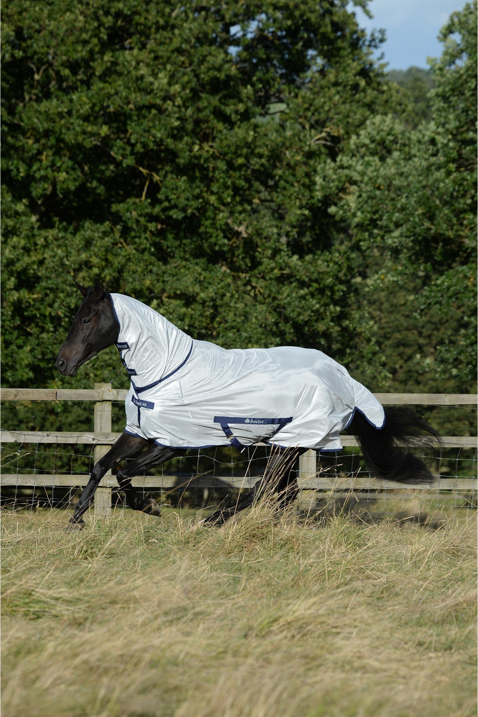 Bucas Freedom Fly Sheet F/N Horse Rugs