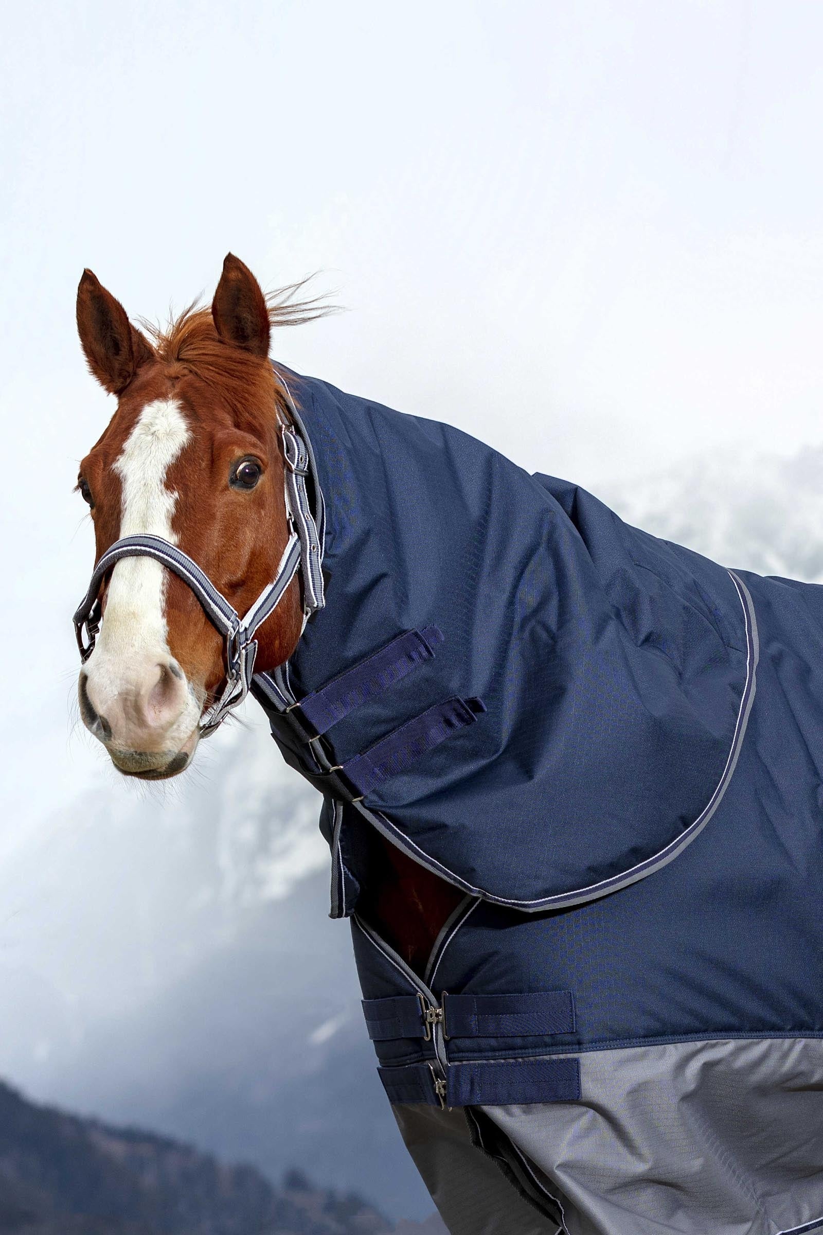 Equi Theme EQUITHÈME TYREX 600D Neck Cover, 200 g Horse Rugs