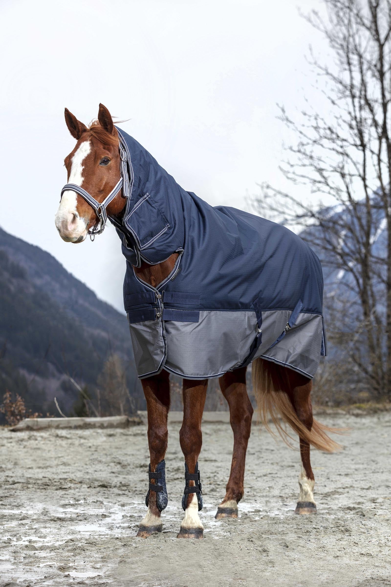 EQUITHÈME TYREX 600D combideken, 350 g Paardendekens