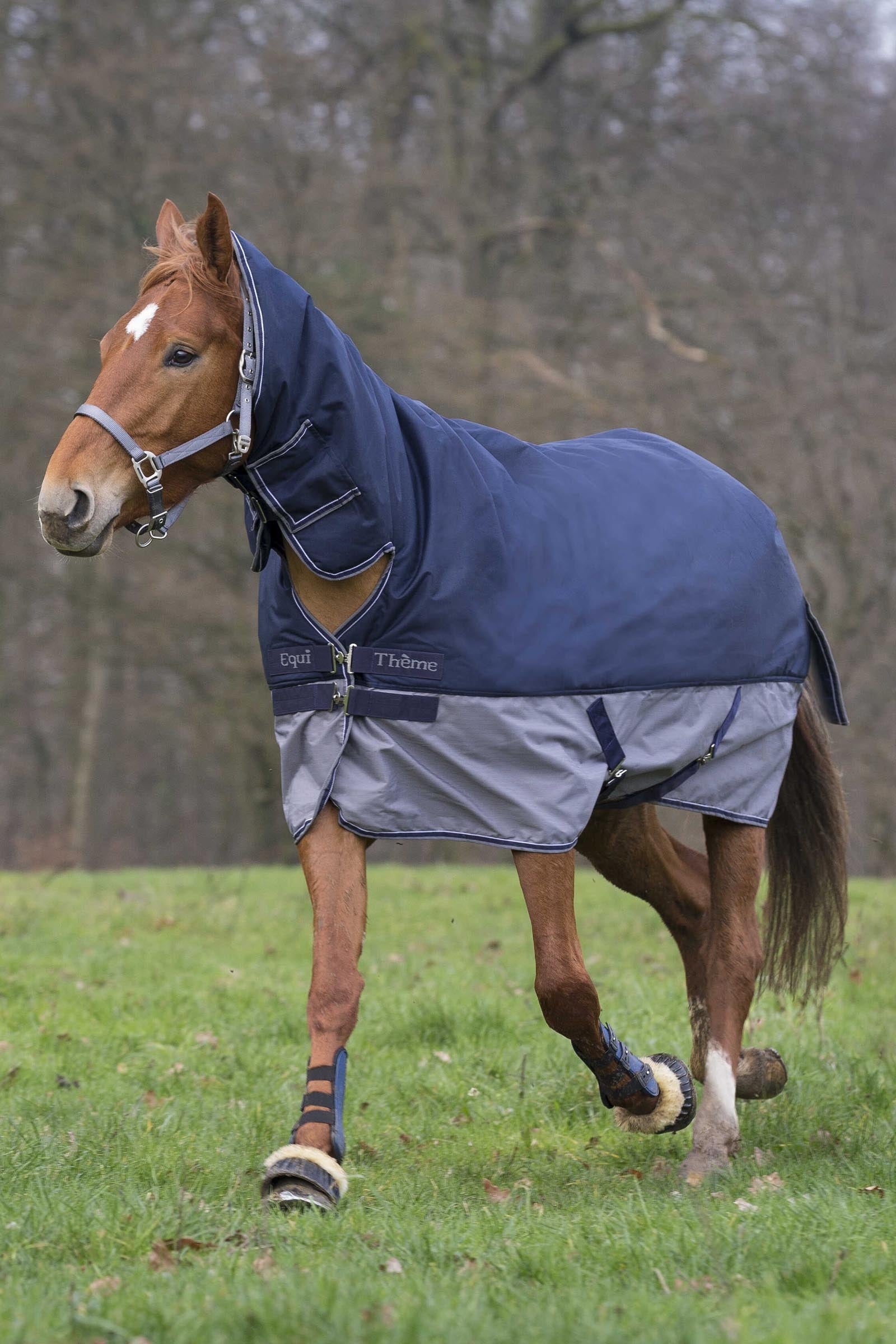 EQUITHÈME TYREX 600D Combo Rug, 350 g Horse Rugs