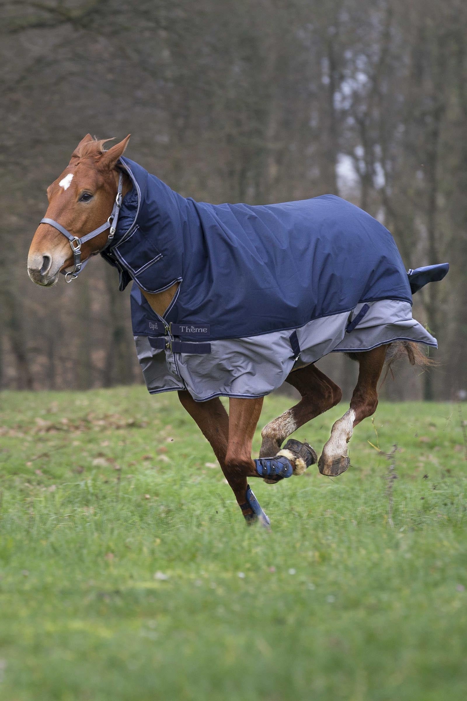 EQUITHÈME TYREX 600D Combo Rug, 350 g Horse Rugs