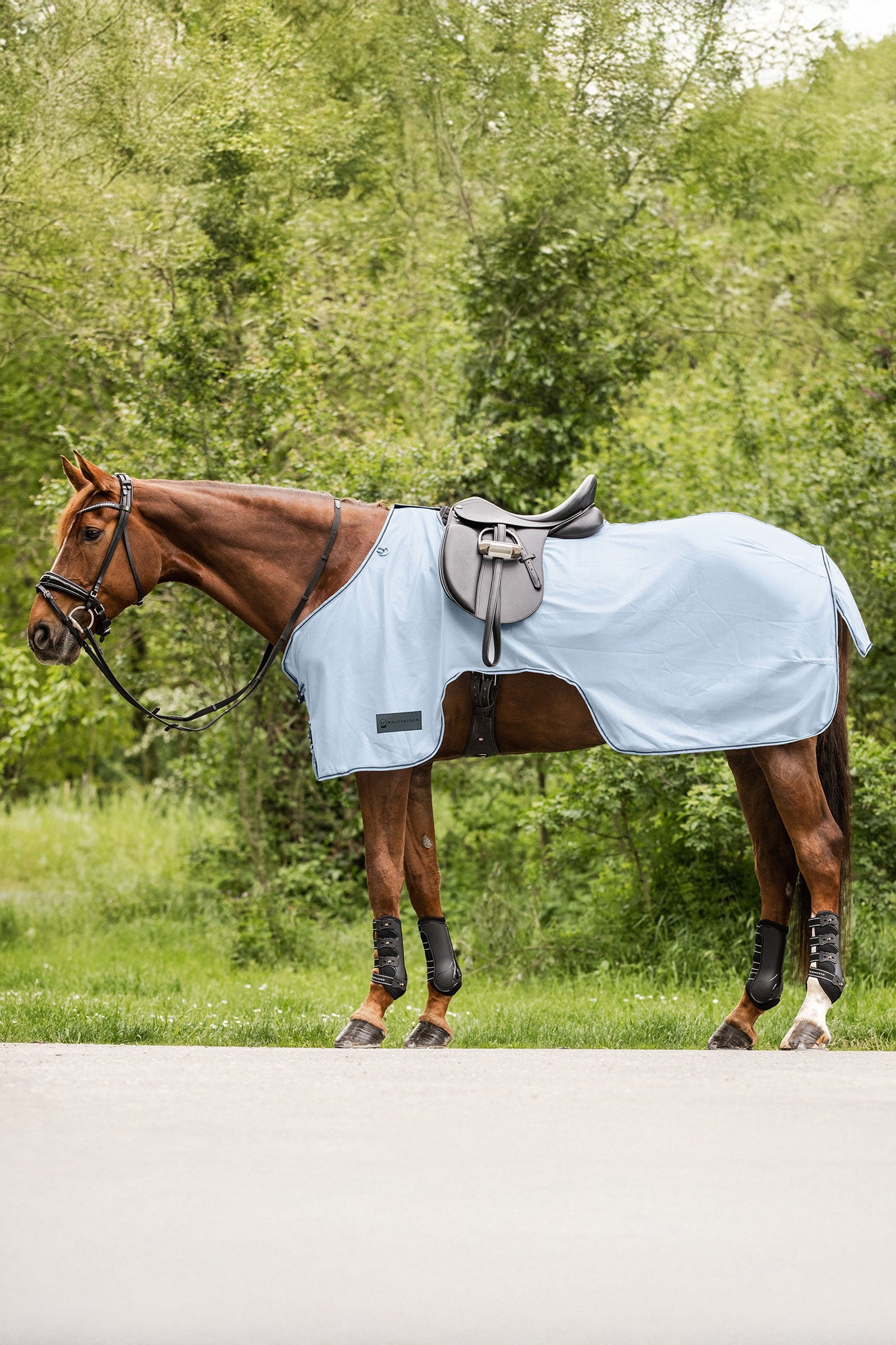 Waldhausen Protect vliegendeken voor het rijden Paardendekens