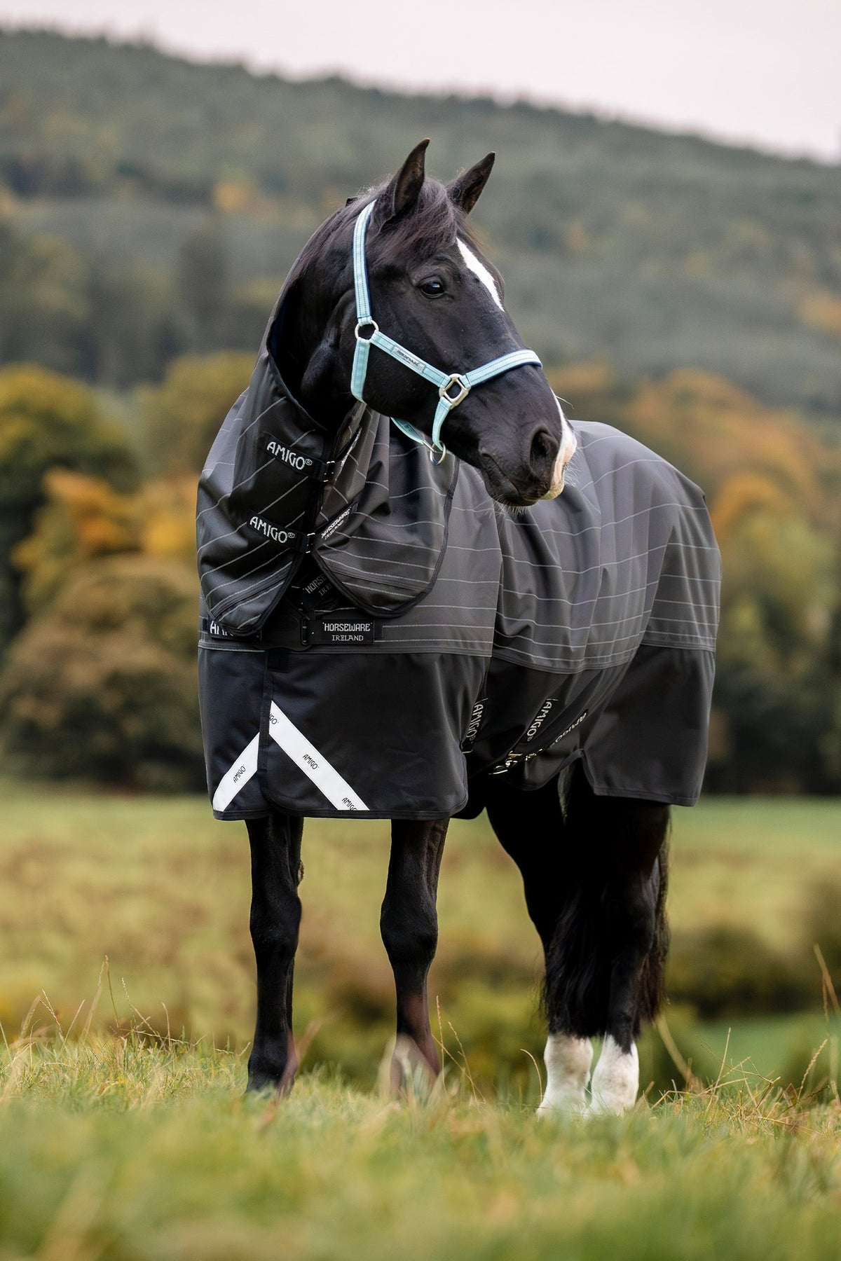 Horseware Amigo 1200D FieldSafe Reflectech Plus outdoordeken met afneembaar halsteil, 0 g Paardendekens