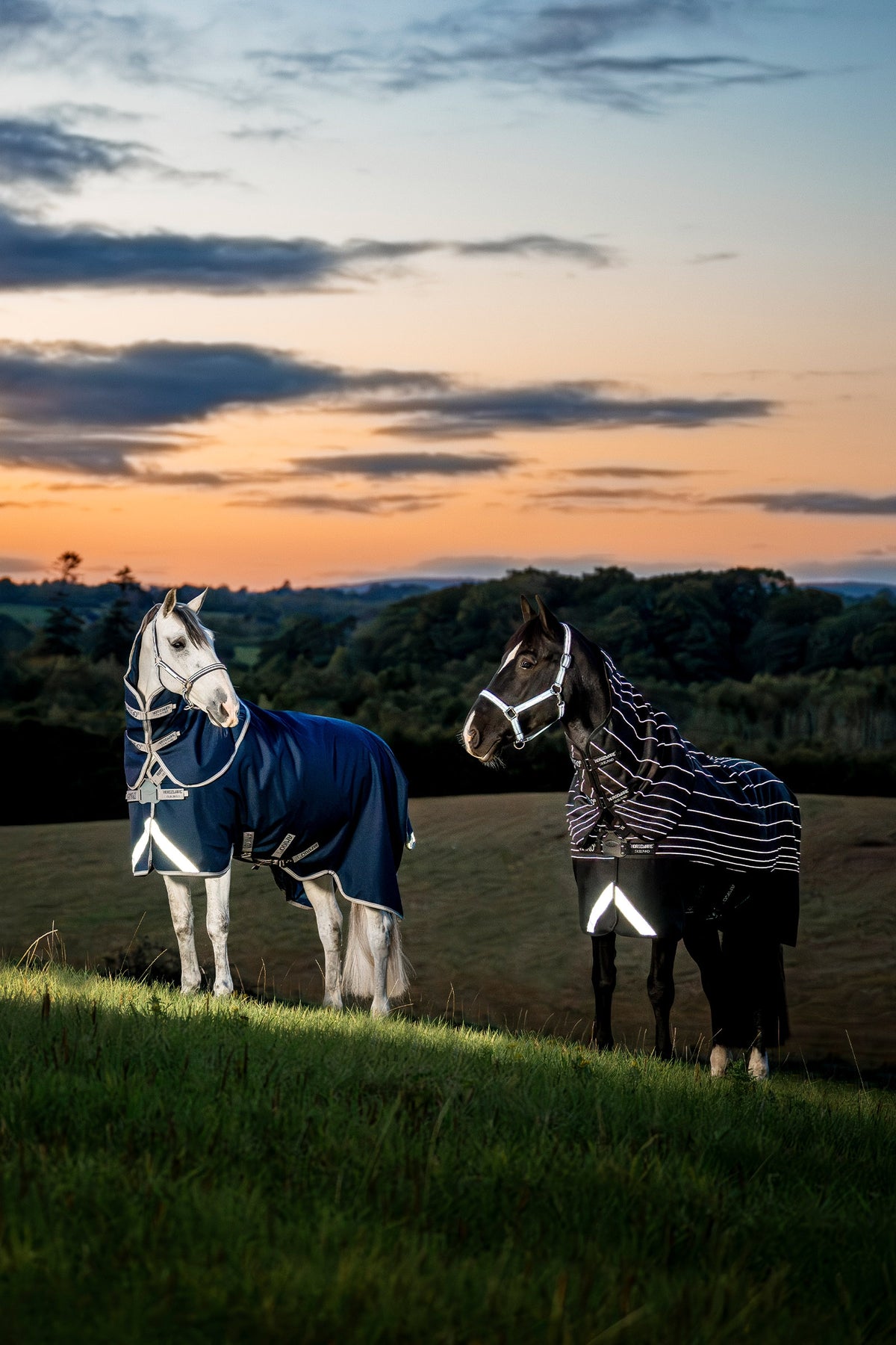 Horseware Amigo 1200D FieldSafe Reflectech Plus Turnout With Detachable Neck, 0 g Horse Rugs