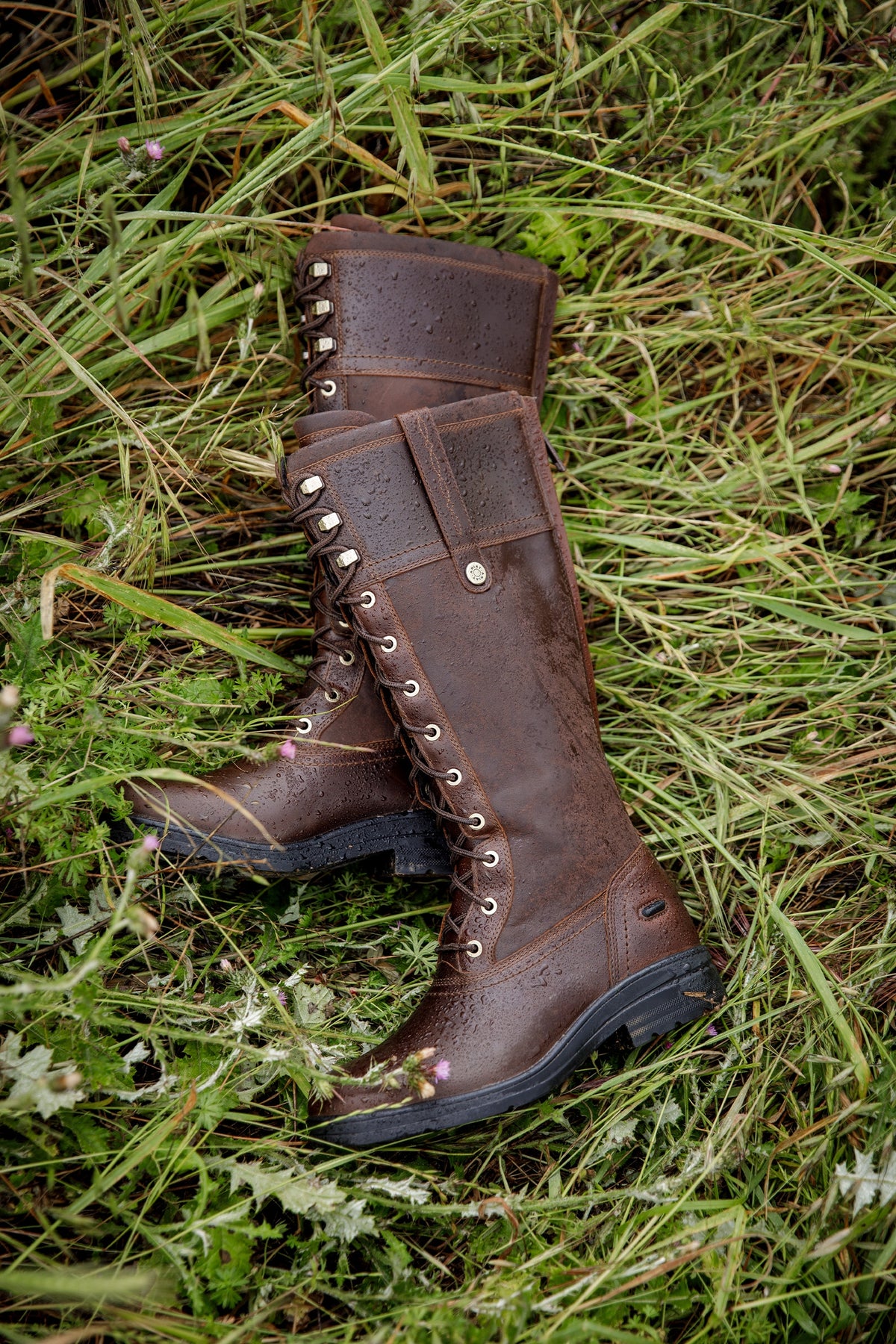 Ariat Women's Wythburn Waterproof Boot Riding Boots & Riding Shoes
