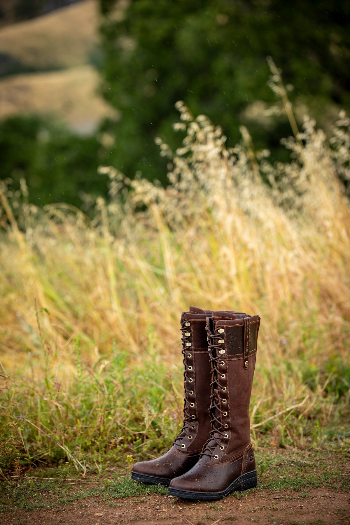 Ariat Women's Wythburn Waterproof Boot Riding Boots & Riding Shoes