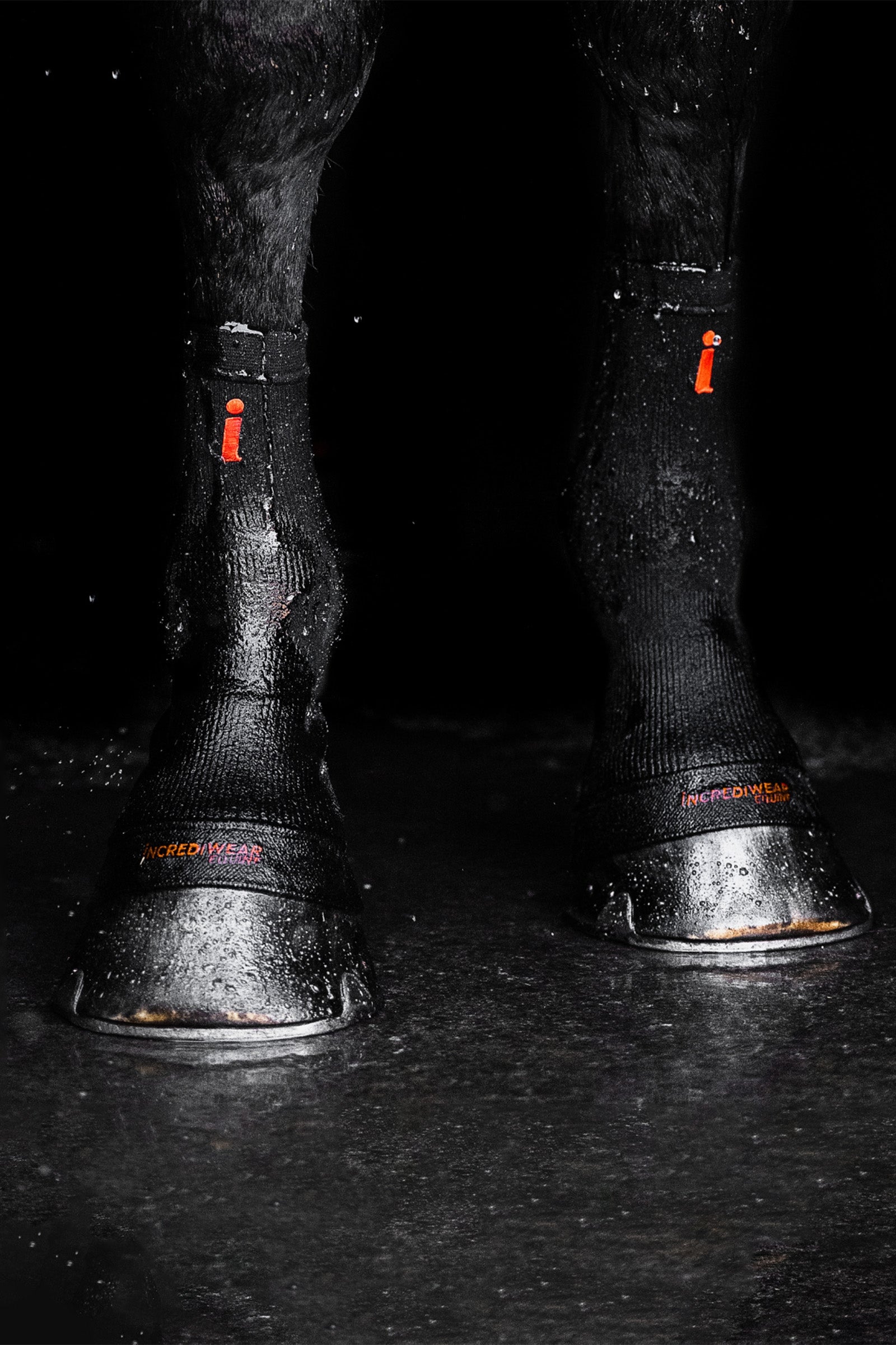 Incrediwear Equine Hoof Socks Leg & Hoof Protection